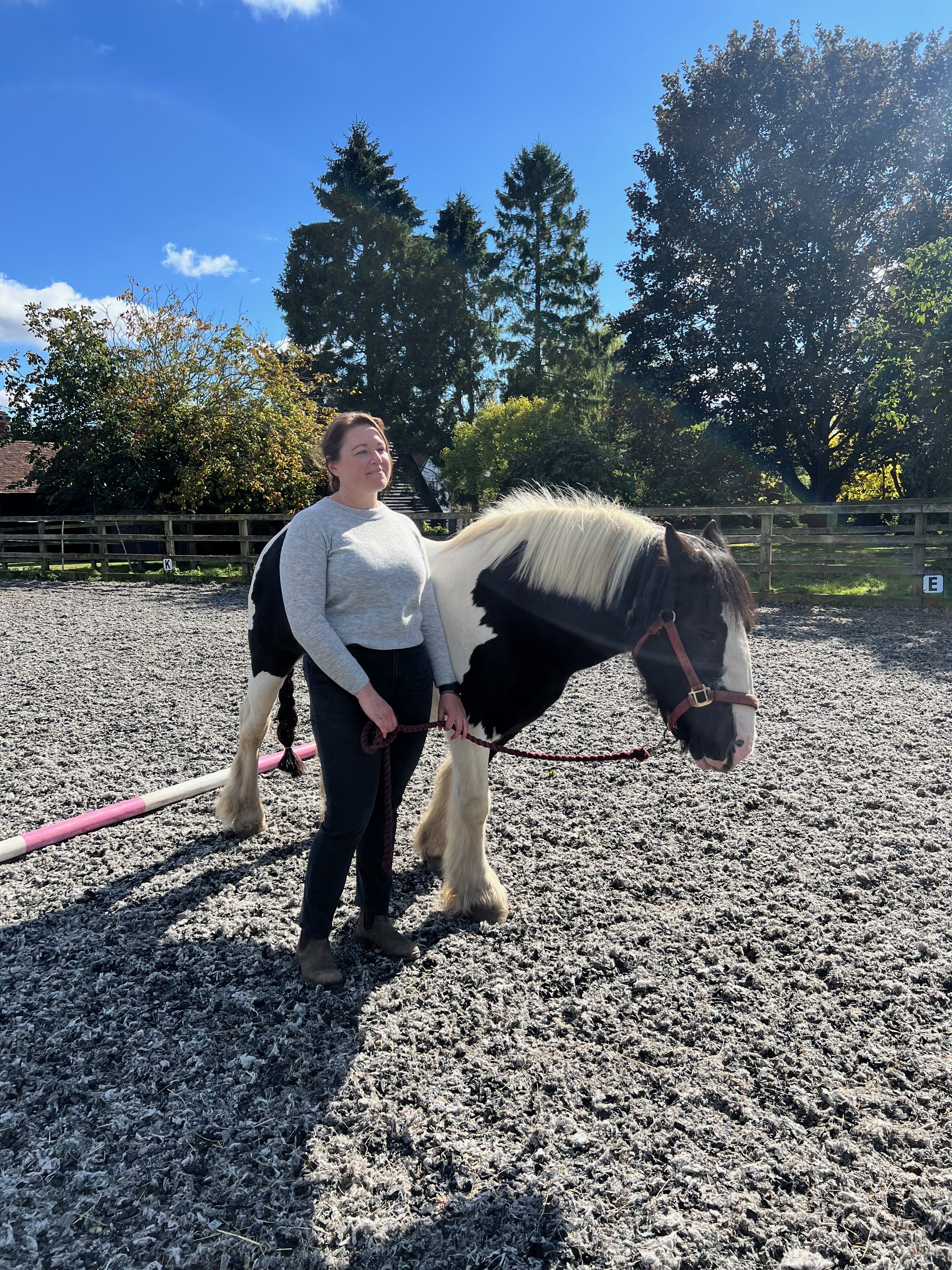 Melissa Gem Horse Powered Insight.jpeg