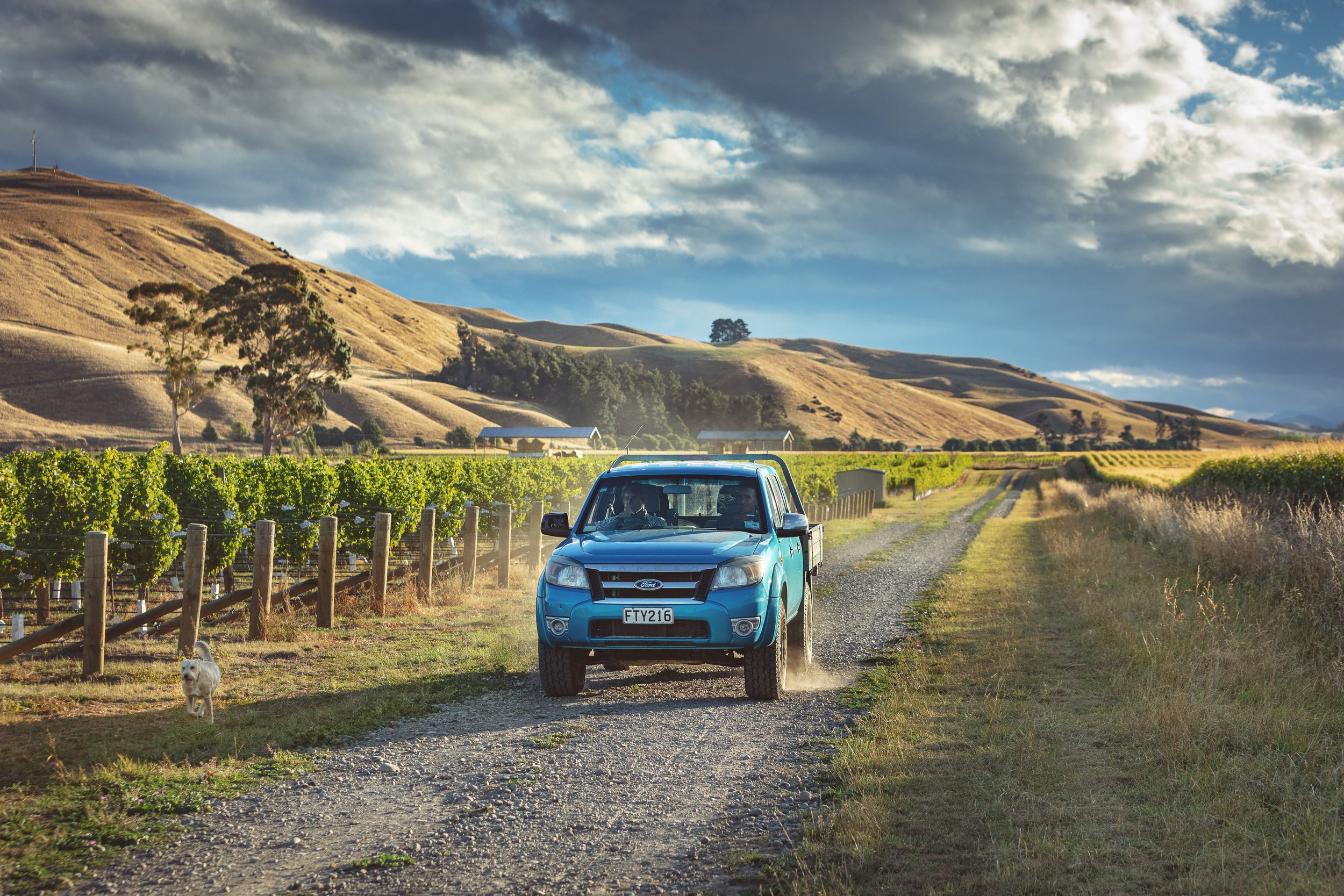Starborough Wines_JTP©_003.jpg