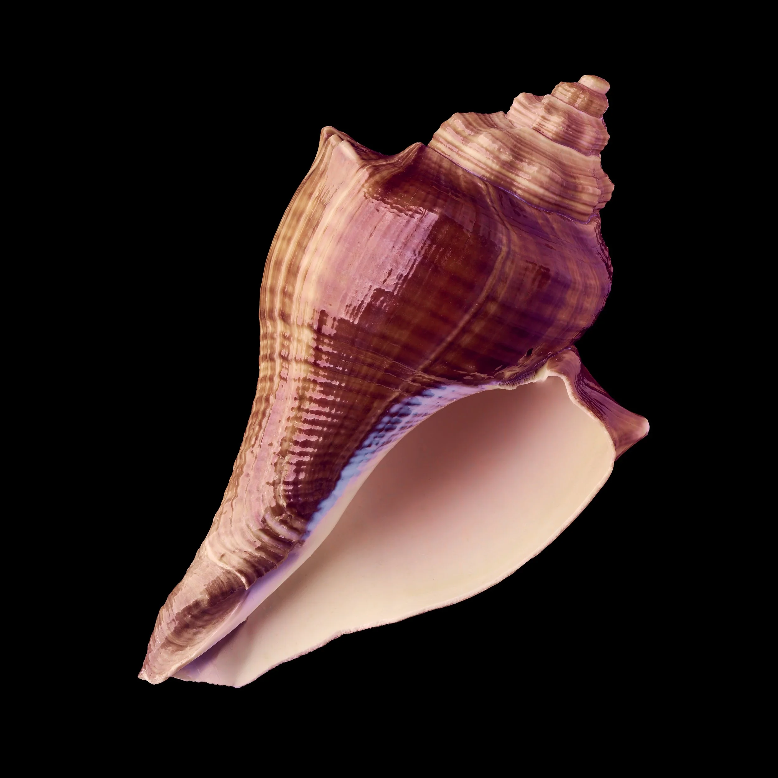 2026.01.18.george.#6 1.jpg