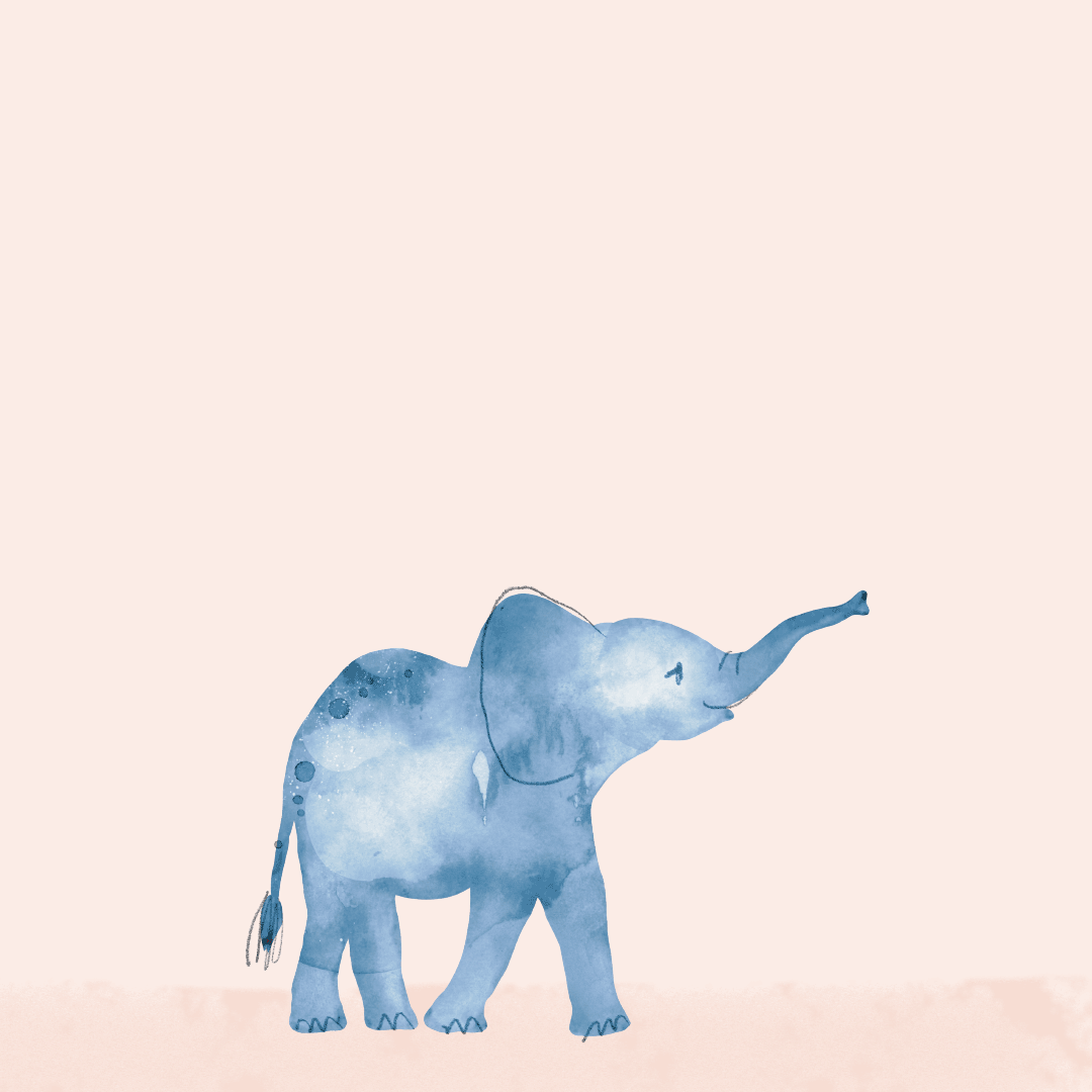 JodyWorthington_EllisLittles_AnimatedElephant_1.gif