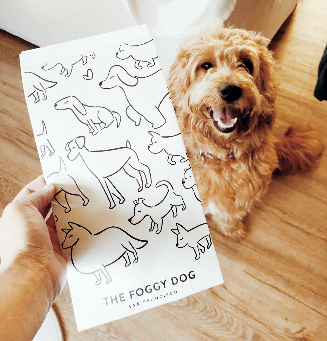 JodyWorthington_FoggyDog_Packaging_1.png