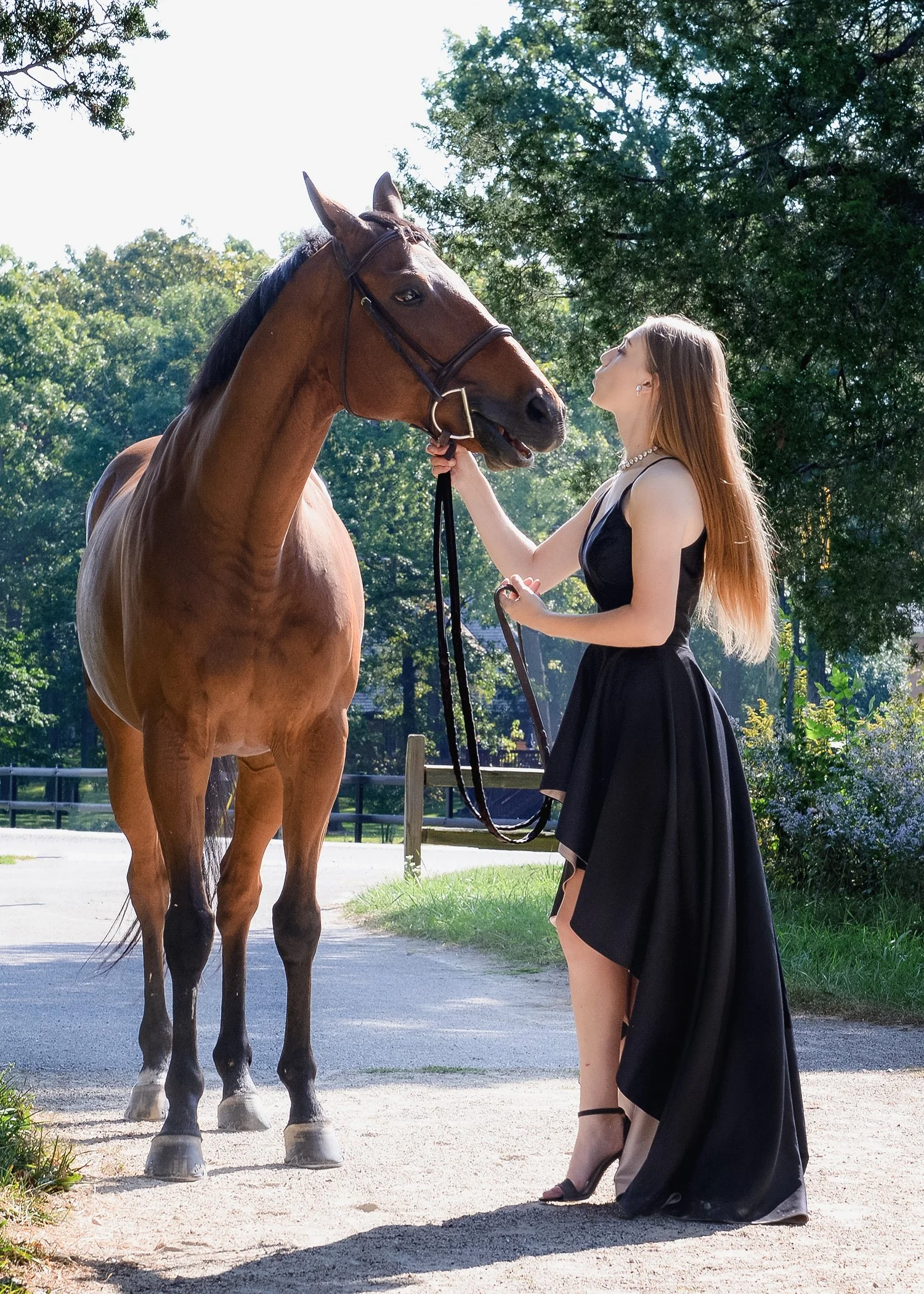 professional portrait of young woman in gown with her horse.JPG