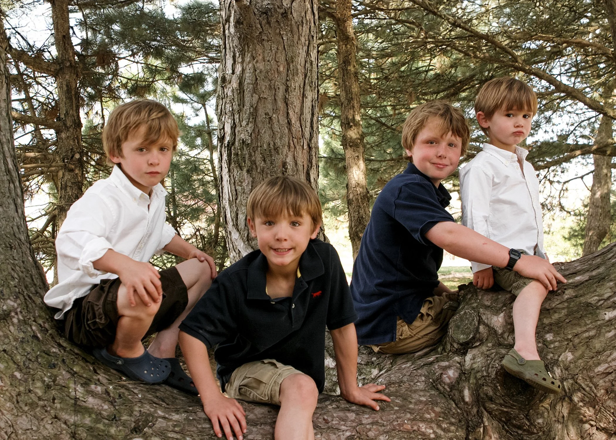 boys in tree.JPG