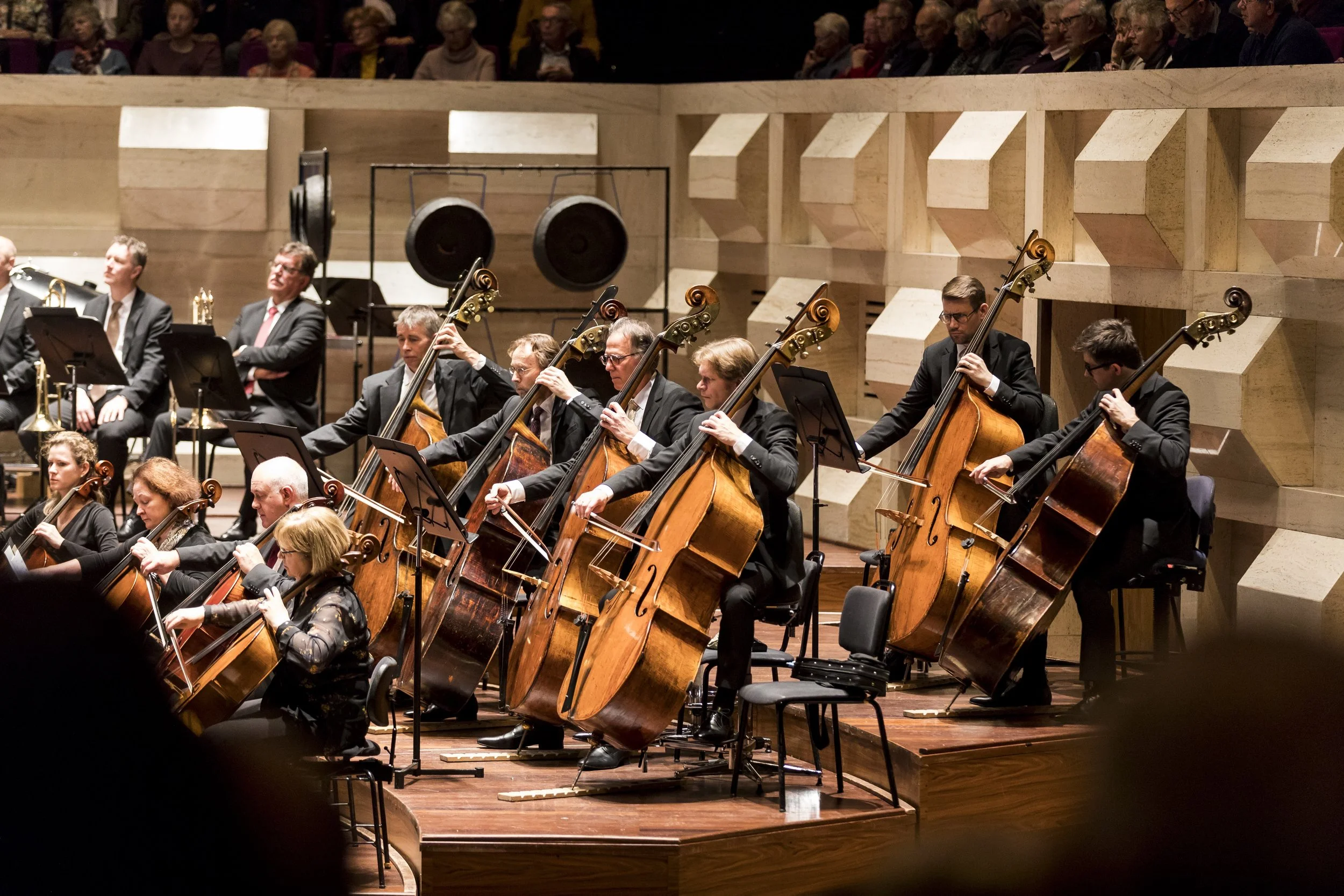 The Rotterdam Philharmonic Orchestra