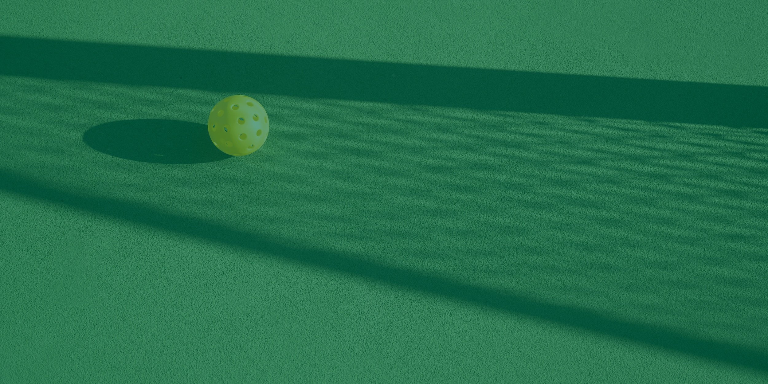 Elevate Your Pickleball Skills with Price Pickleball Academy's PPR