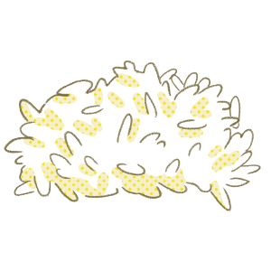 Artboard 22.png