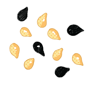 Artboard 26.png