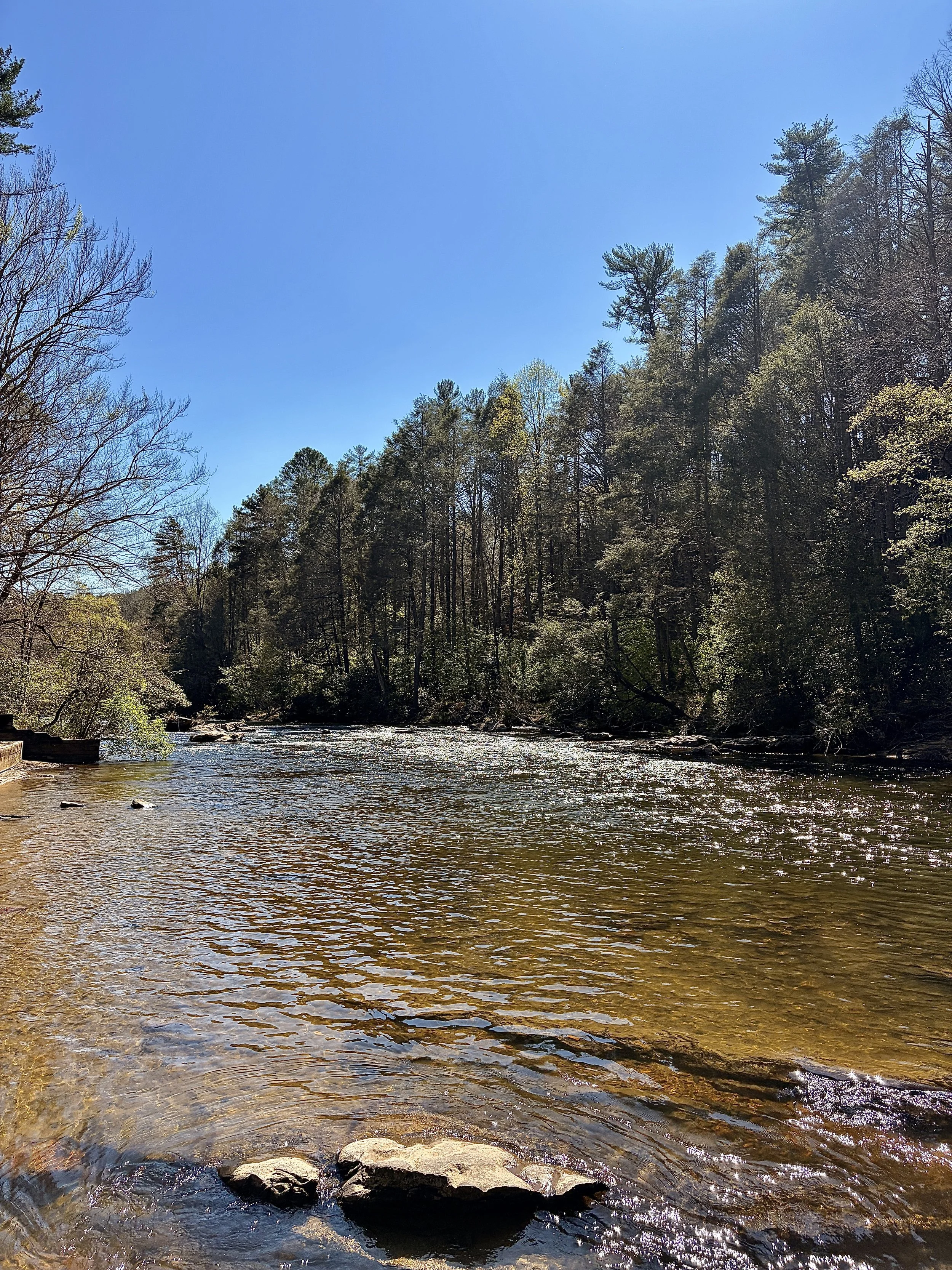Camping on the Toccoa River
