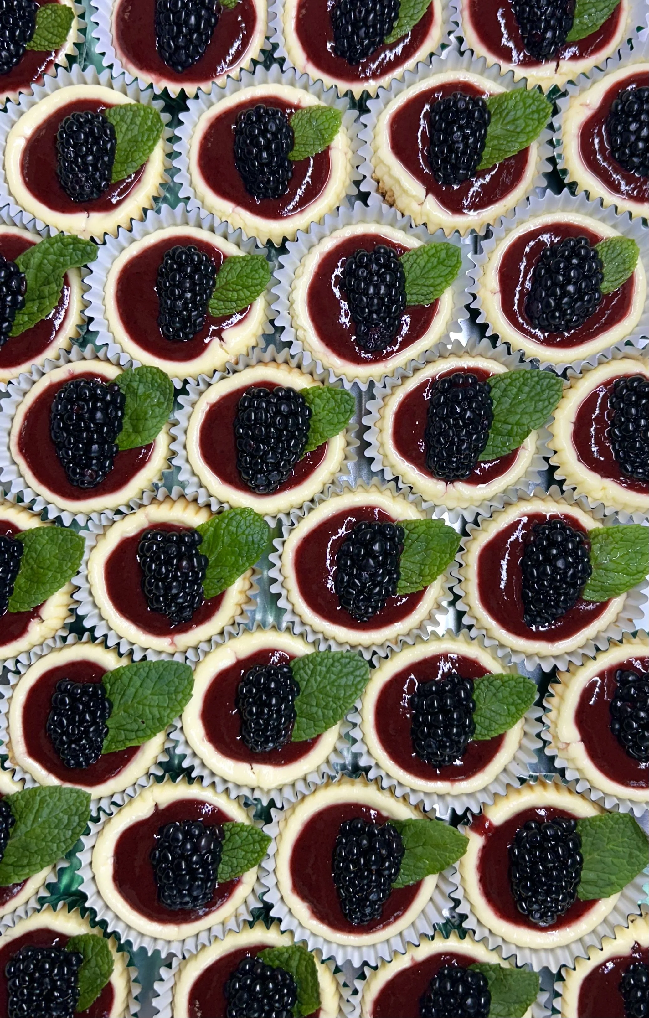 Individual Blackberry Cheesecake