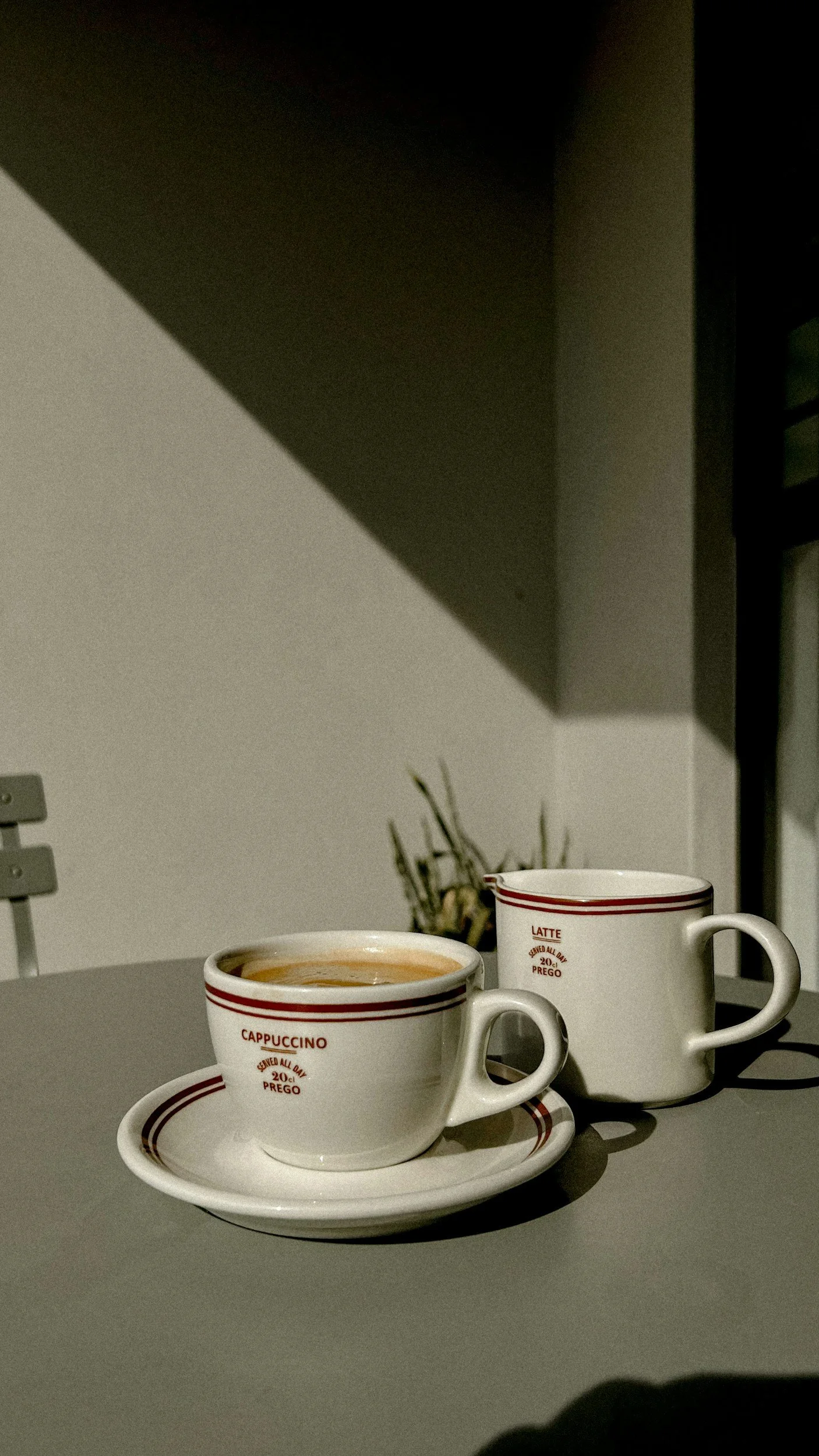 A cup of cappuccino on a saucer next to a cup of latte on a gray table, with a blurred plant in the background.