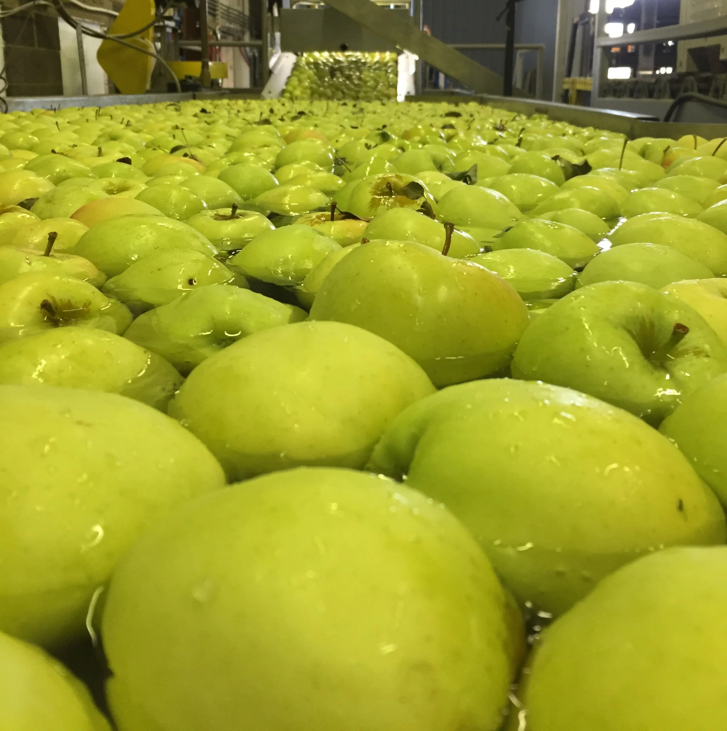 Certifications — Dawson's Orchards, Inc.