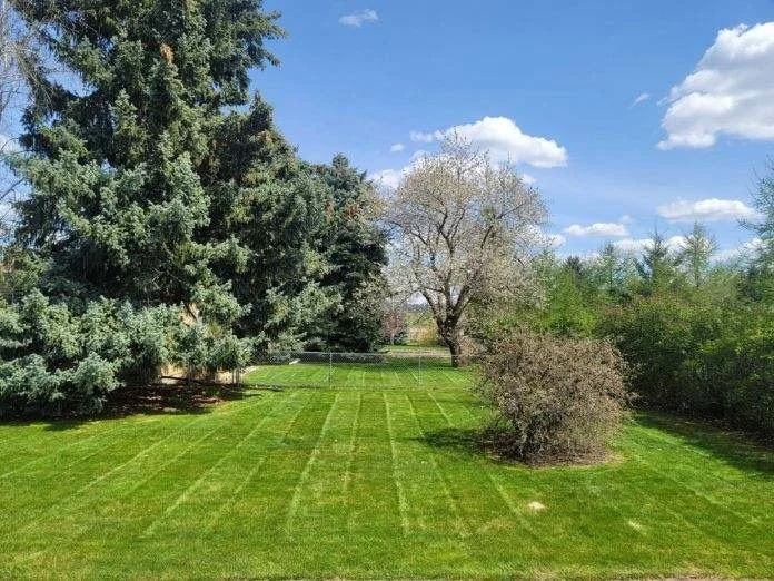 sonder-lawncare-landscaping