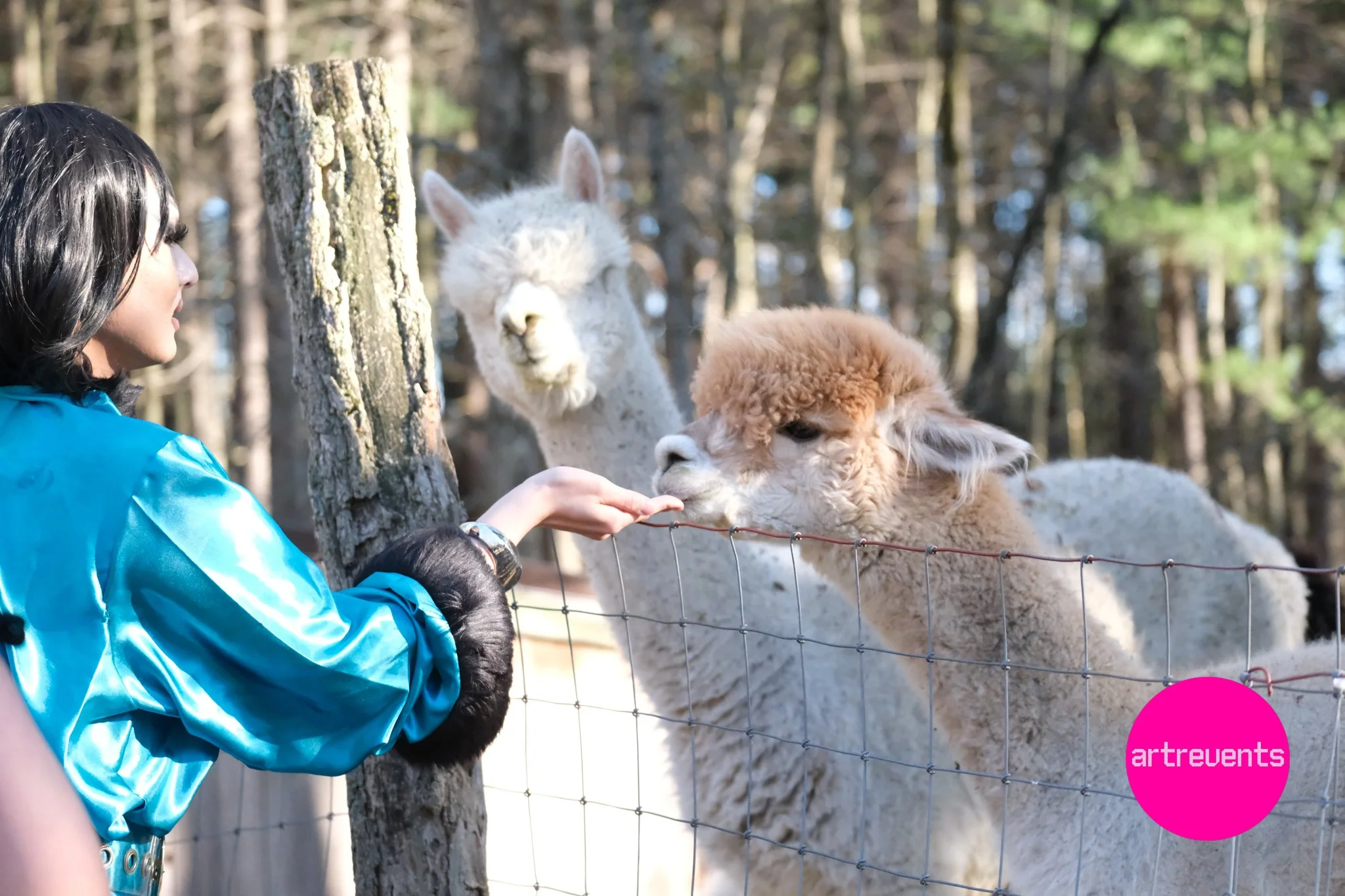 Divas & Goats April 11, 2026-49.jpg