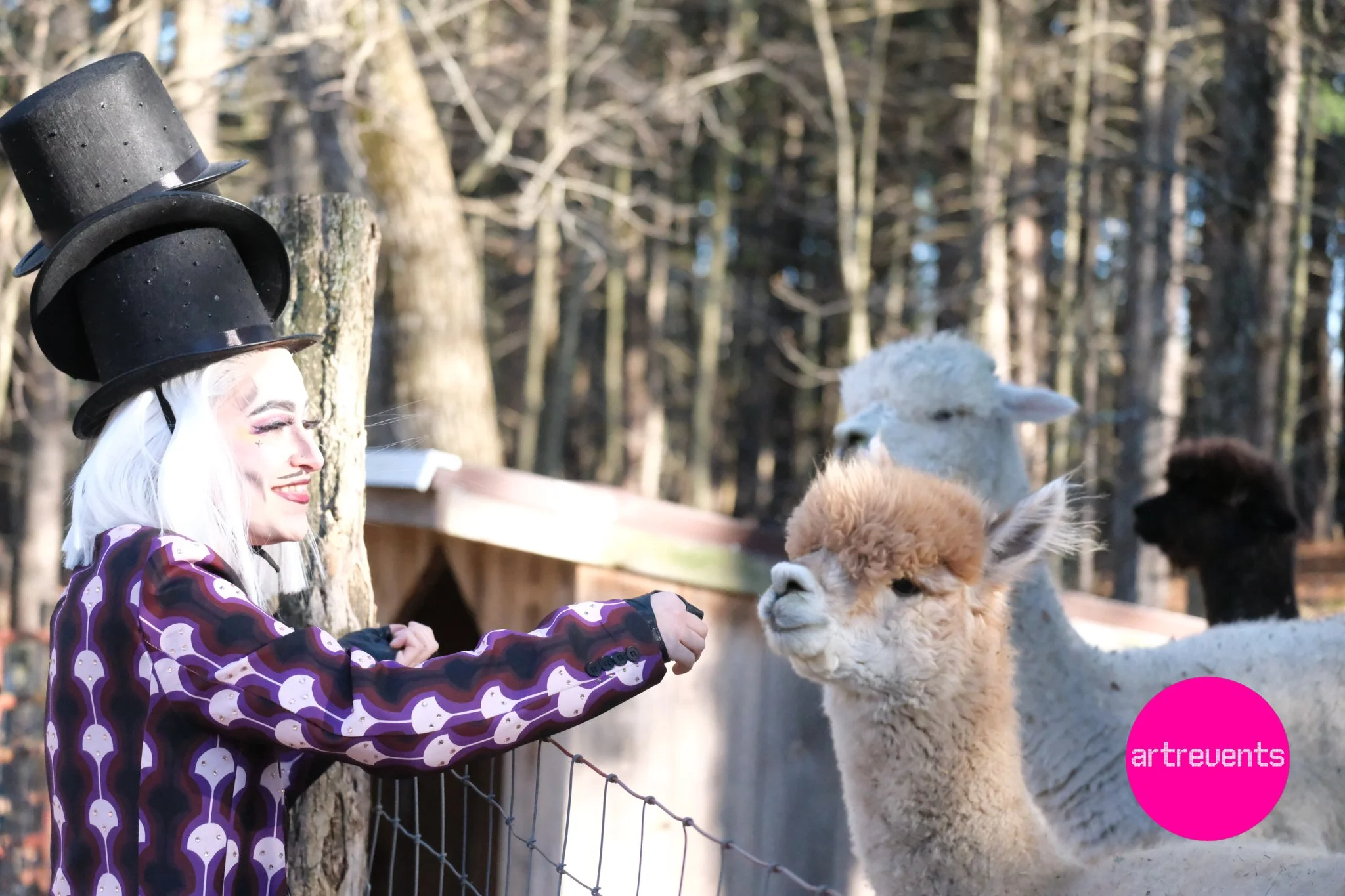 Divas & Goats April 11, 2026-45.jpg