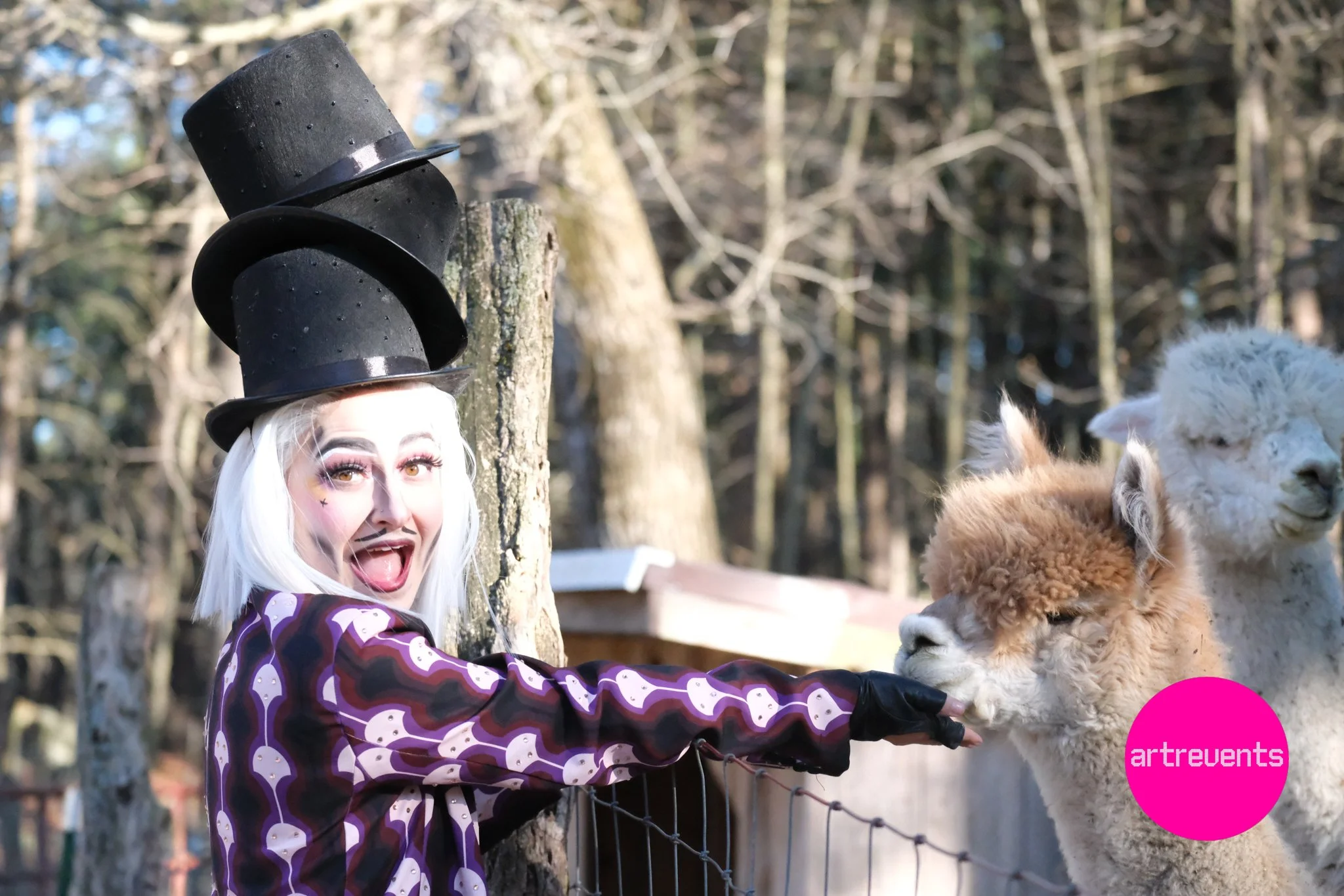 Divas & Goats April 11, 2026-47.jpg