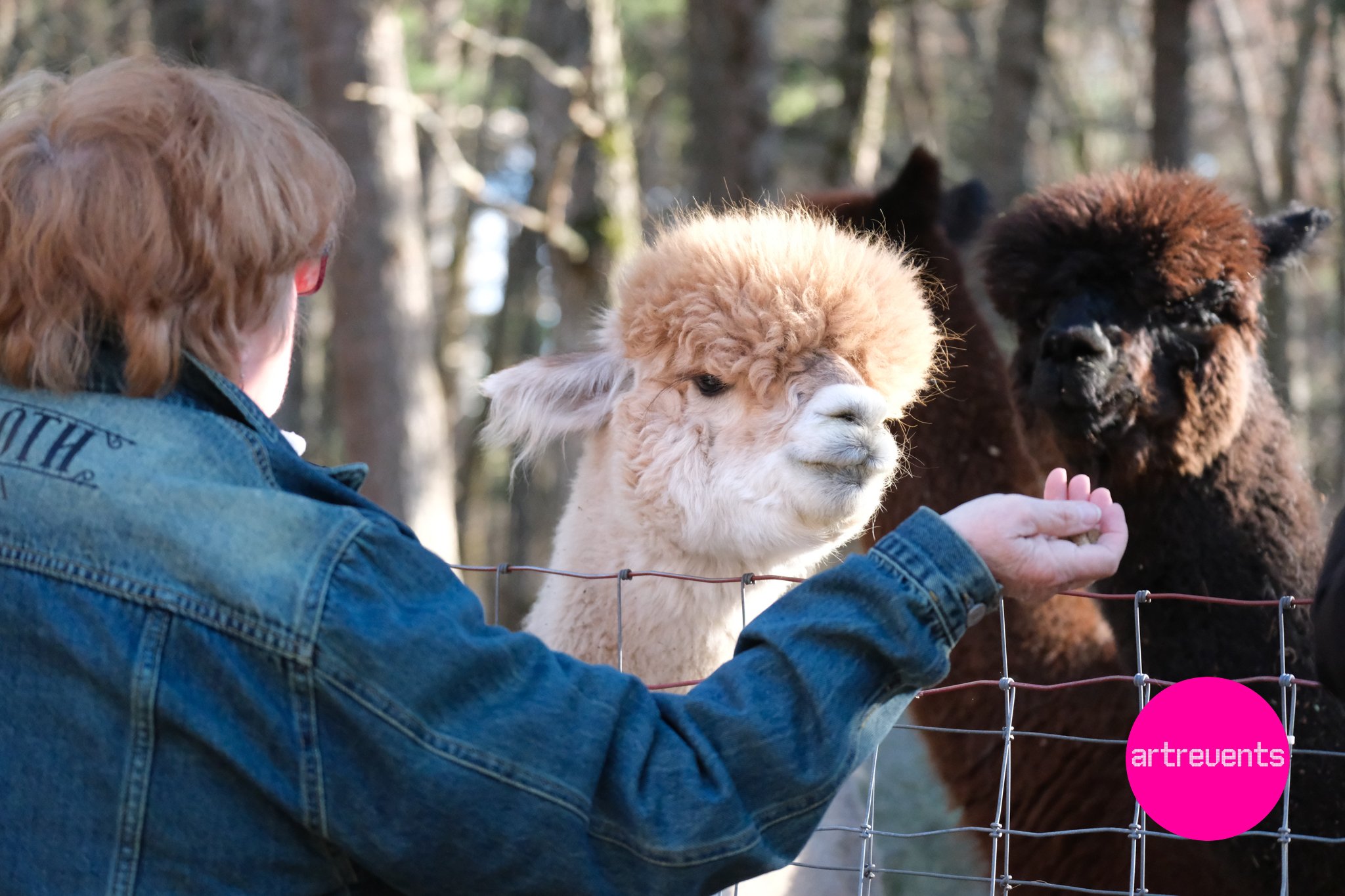 Divas & Goats April 11, 2026-54.jpg