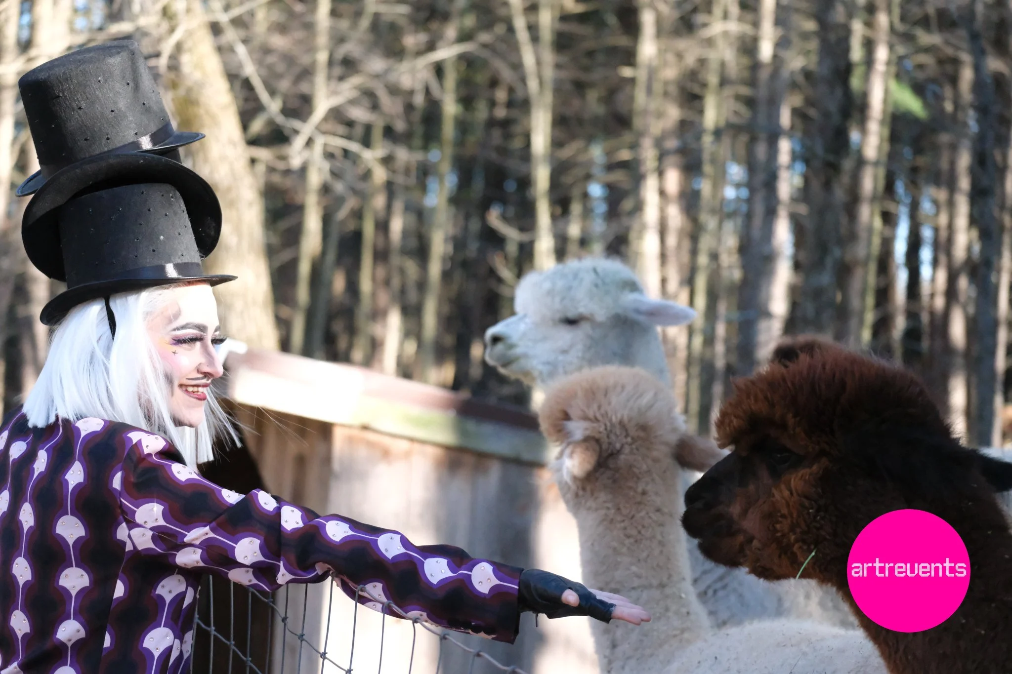 Divas & Goats April 11, 2026-46.jpg