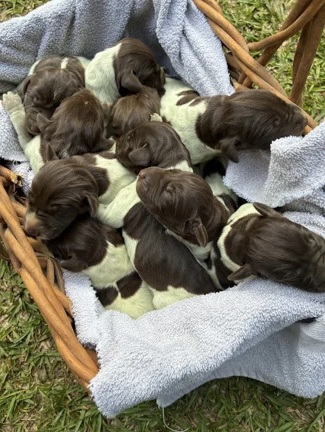 5 Females and 4 Males