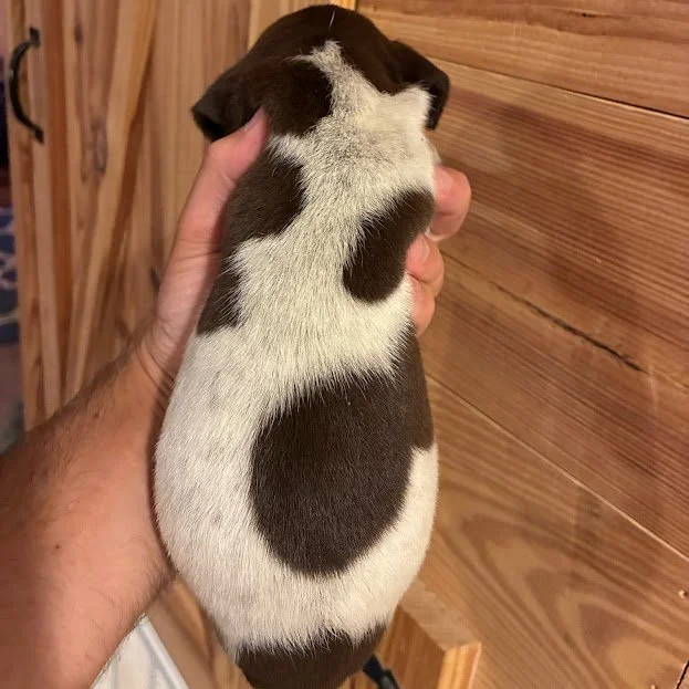 MALE #1