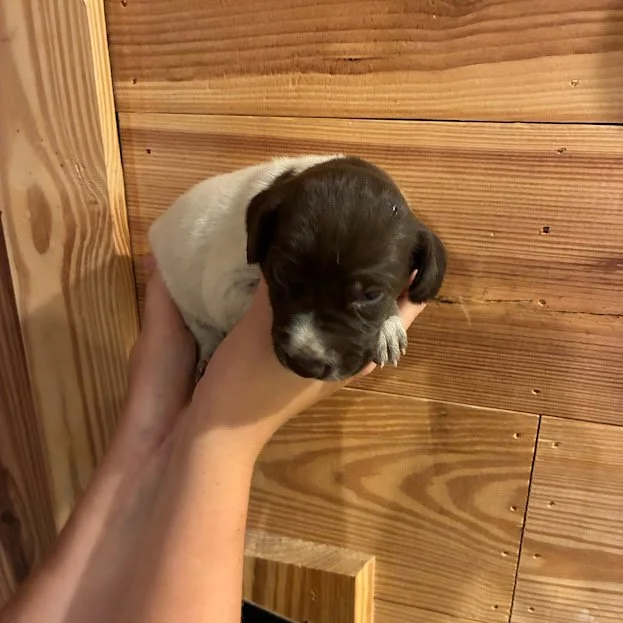 MALE #3