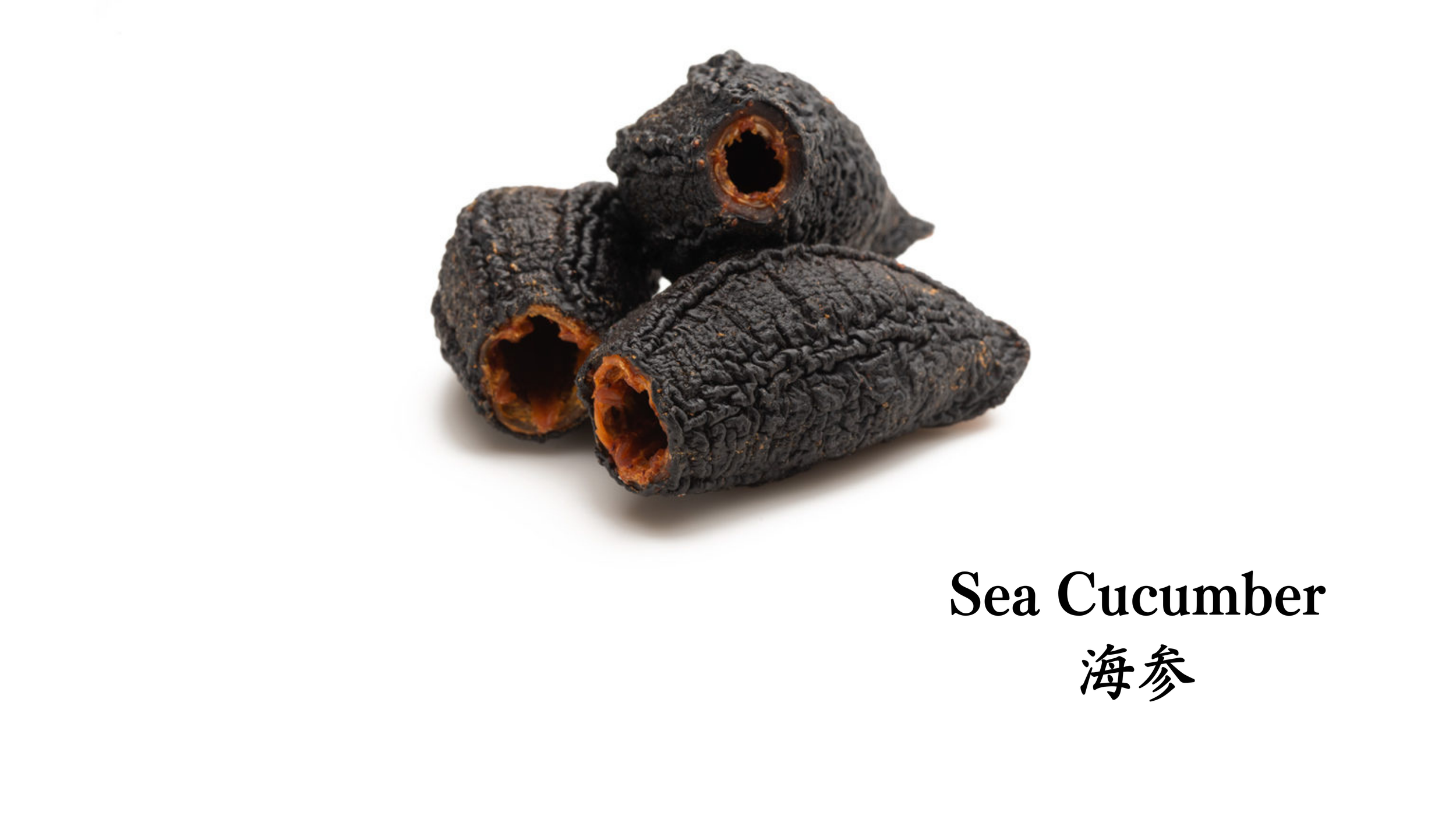 Sea Cucumber 海参.png