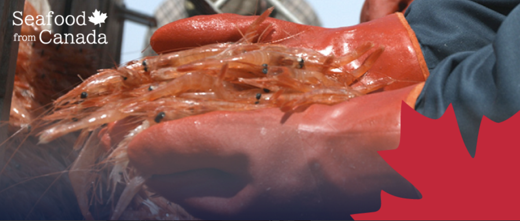 Post cover image
