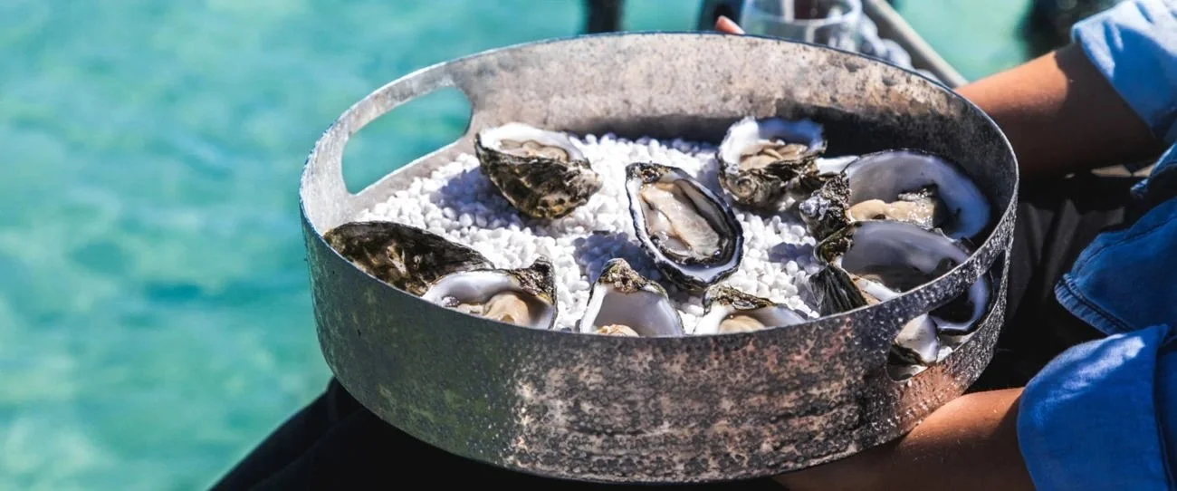 oysters_coffinbay_eyrepeninsula.jpg