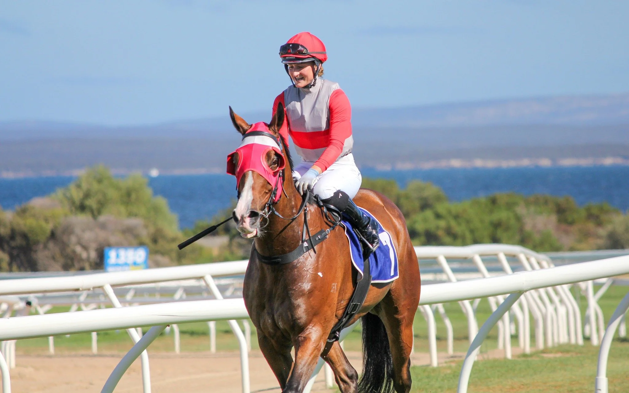 EARLY BIRD Membership - Single