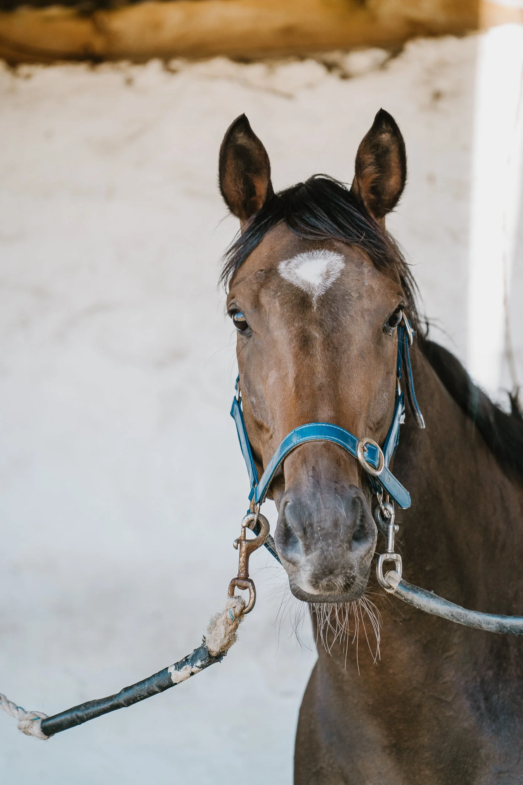 NYE 2025 For Online-147.jpg