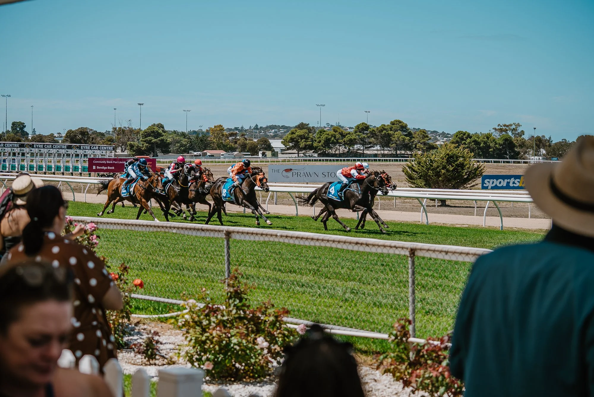 2026 Pt Lincoln Cup - For Online-72.jpg