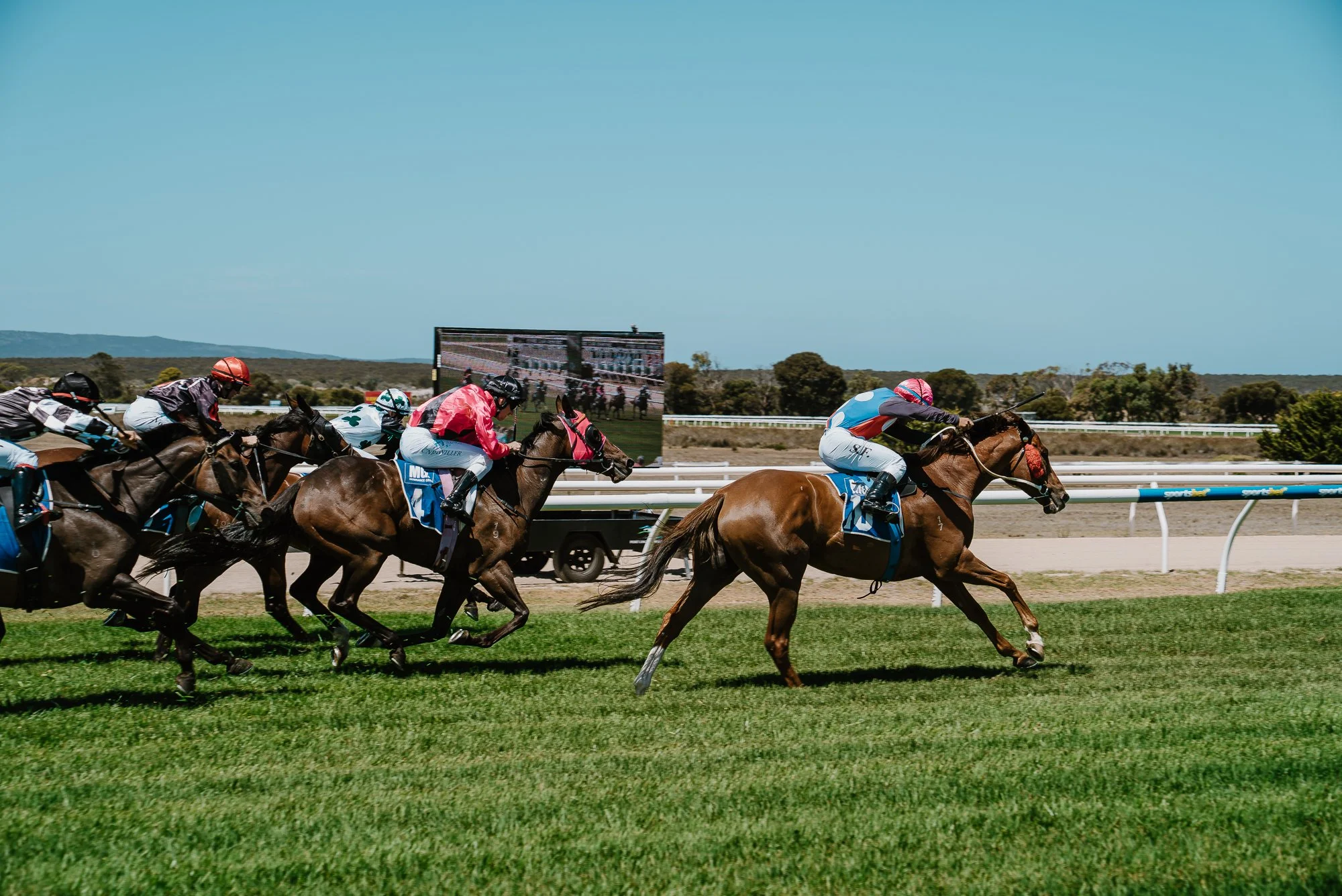 2026 Pt Lincoln Cup - For Online-241.jpg