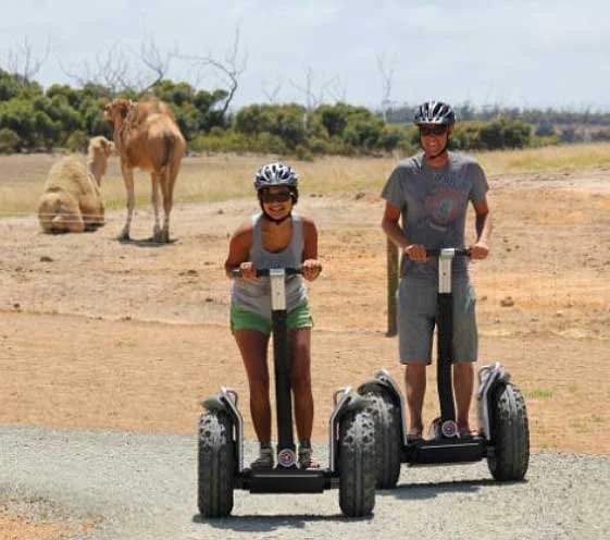 segway-tour-port-lincoln-eyre-peninsula-glen-forest-10.jpg
