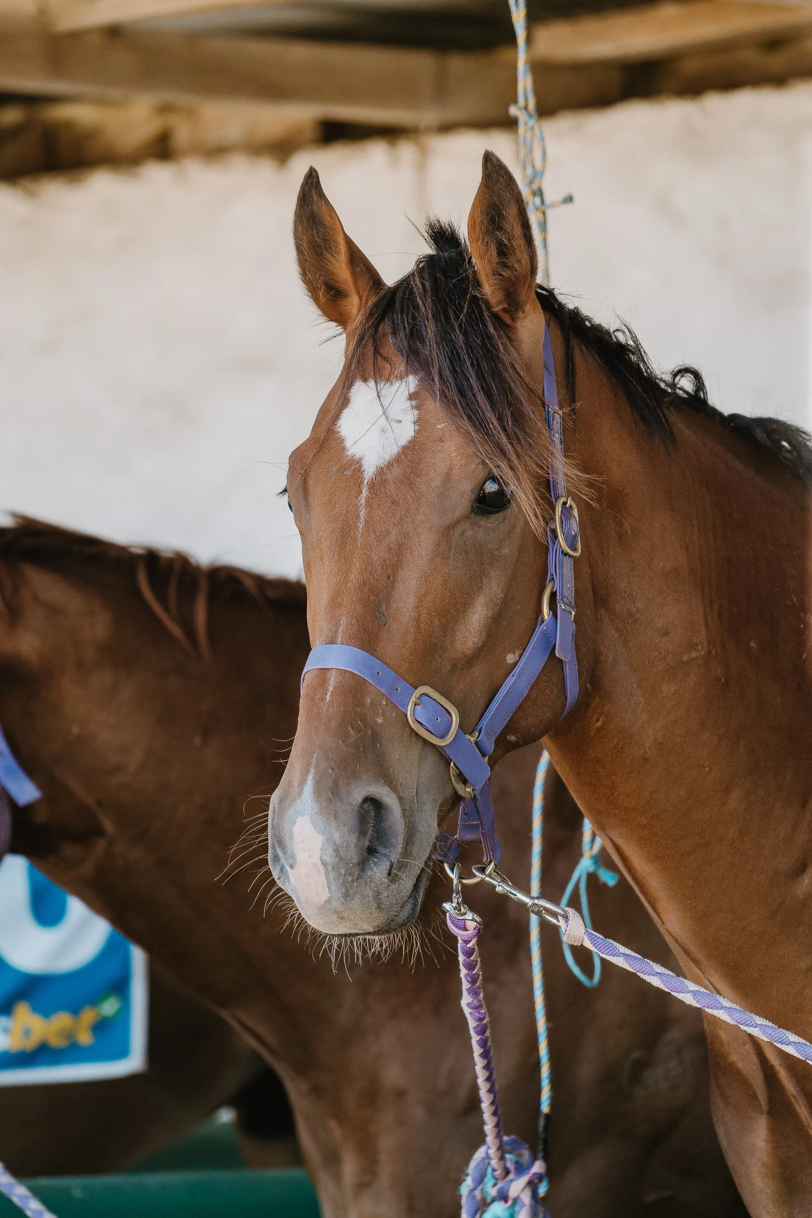 NYE 2025 For Online-146.jpg