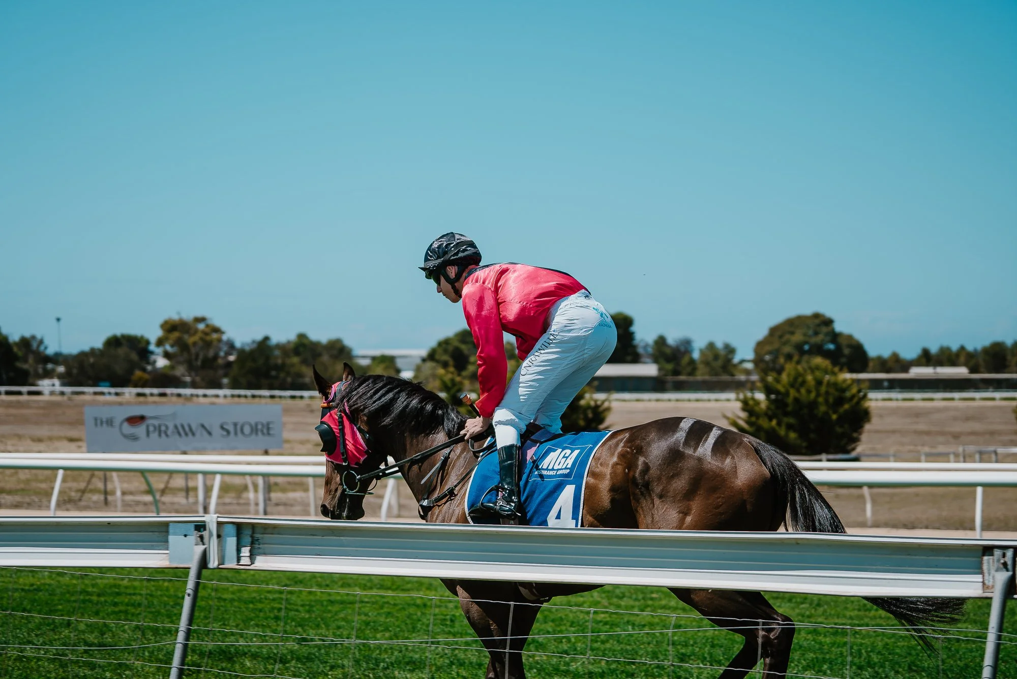 2026 Pt Lincoln Cup - For Online-23.jpg