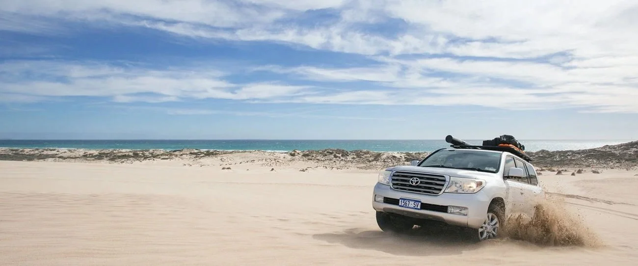australian-coastal-safaris-eyre-peninsula.jpg