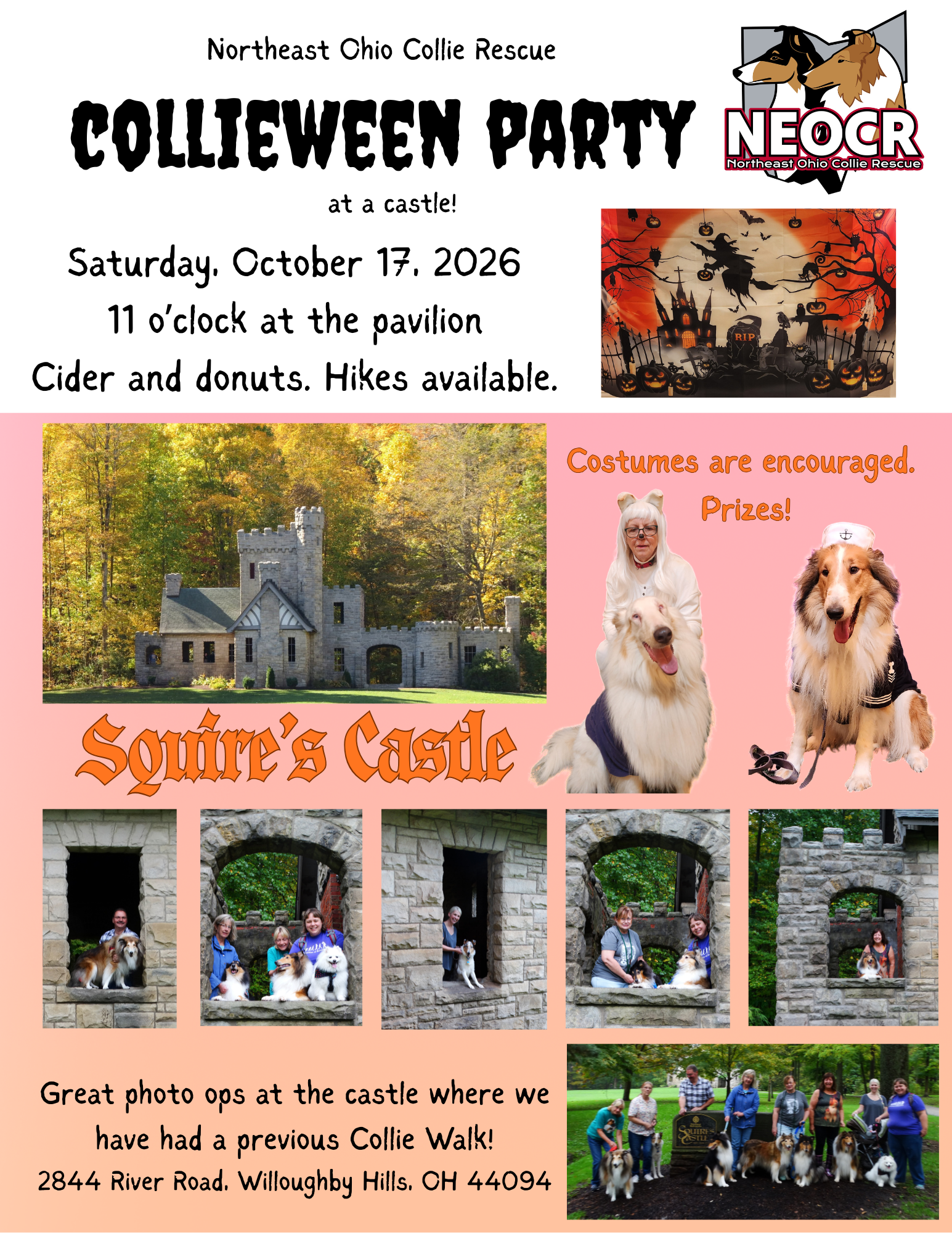 Collieween
