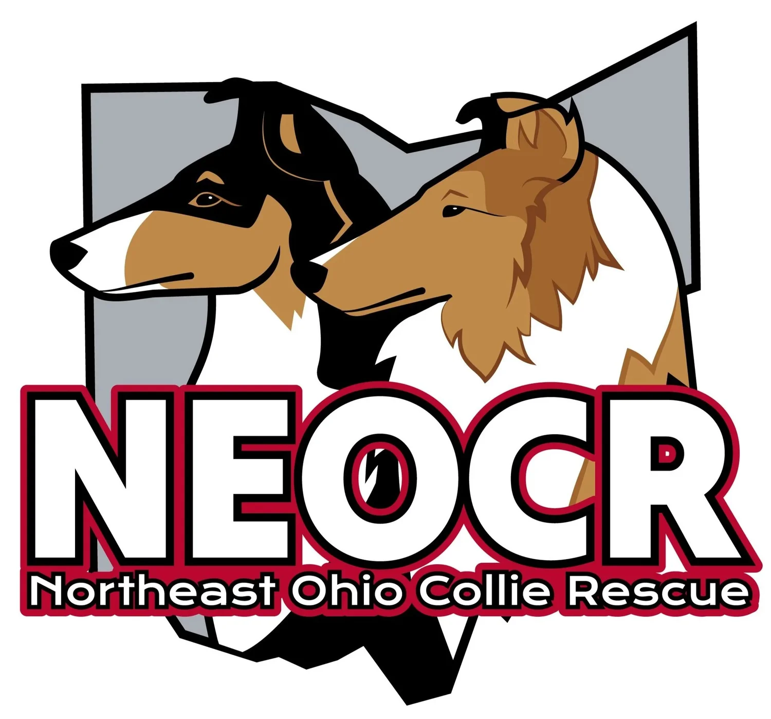 Northeast Ohio Collie Rescue