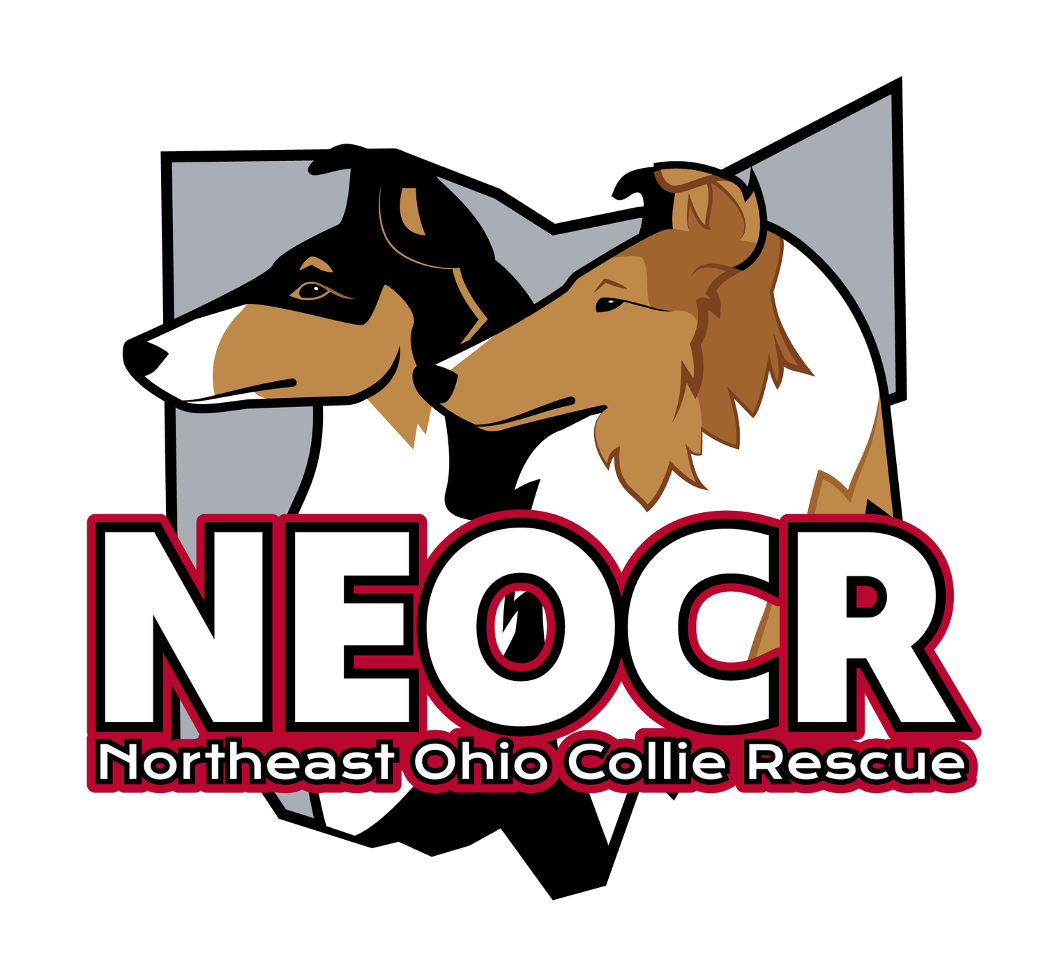 Northeast Ohio Collie Rescue