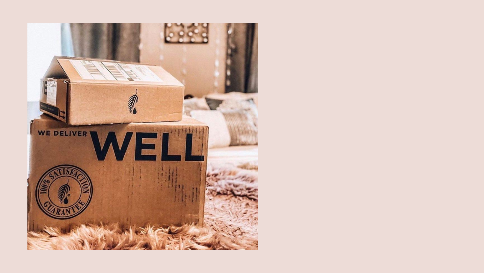 The Wellness Box