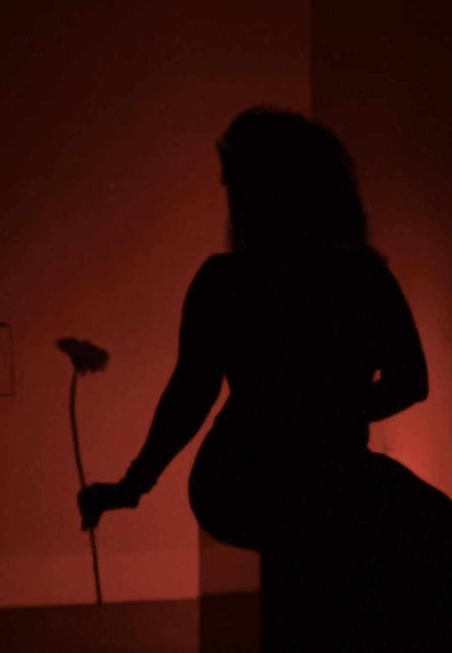 Becoming
(30x40in):

In shadow, she meets herself. No details or distractions. Only an outline and essence. The flower is an extension of her form. Softness is mirrored in petals and pose. This is a quiet symmetry of not how she appears, but as she f