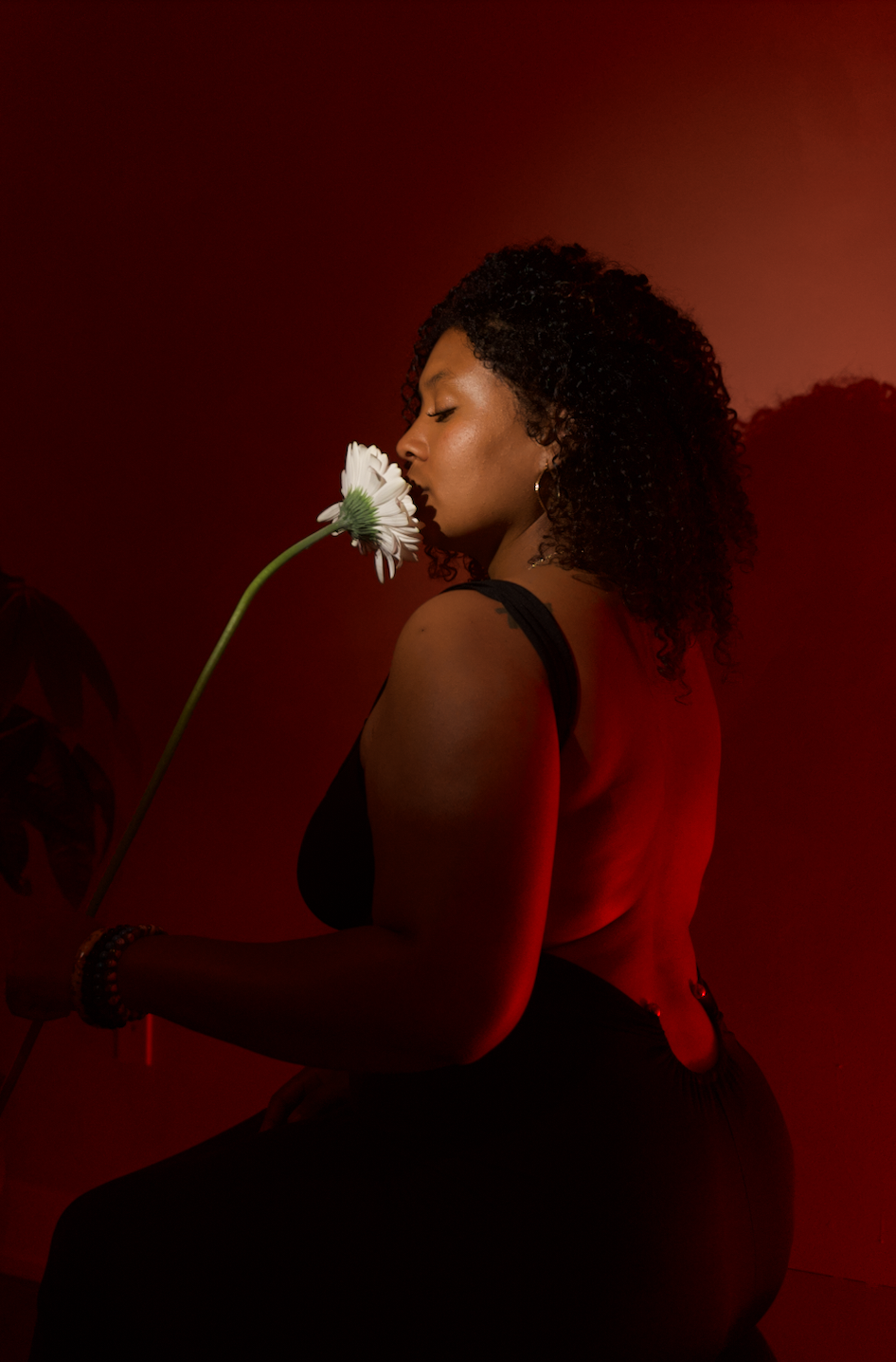 Afterglow 03:
Ignition (20x30in)

$700