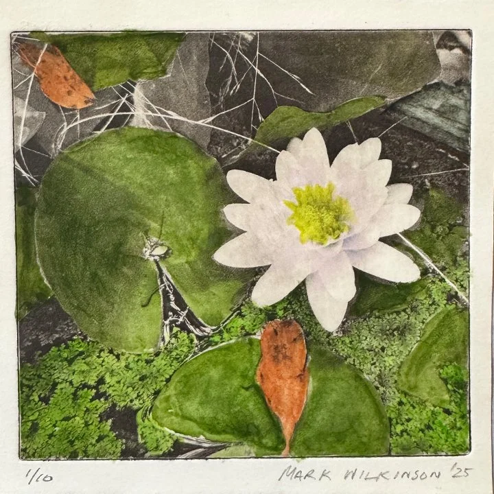 In My Backyard: online 2025