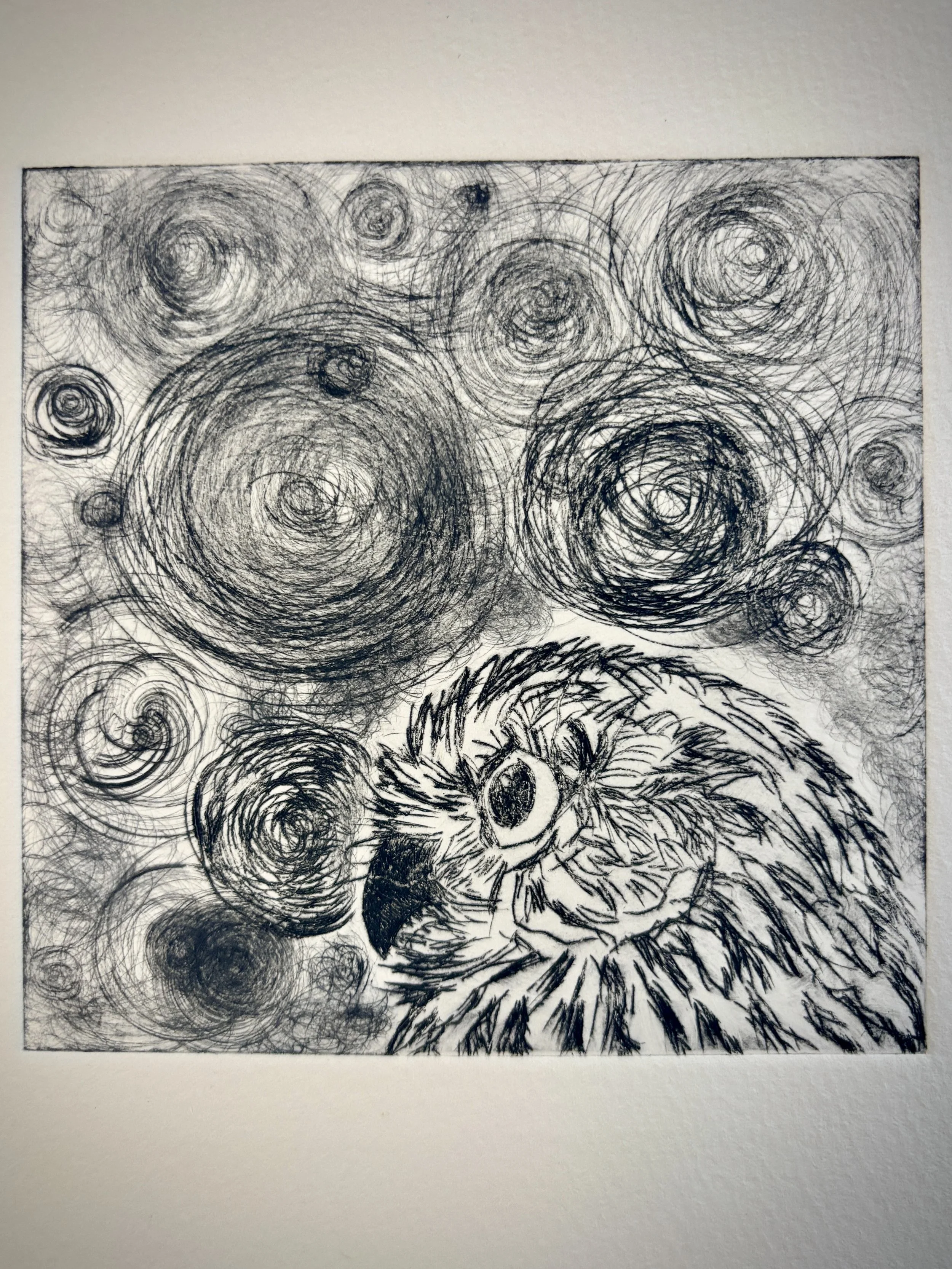 Drypoint print of owl and swirly shapes by Nucky Chudleigh