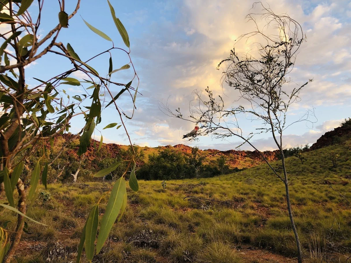 Electrician Karratha & Pilbara Region Indra Electrical Group
