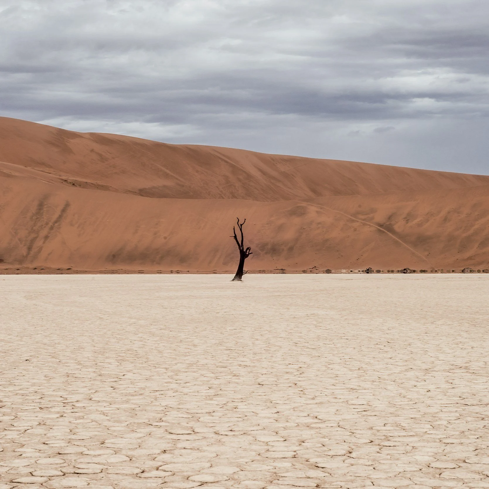 What's Wrong With Me?