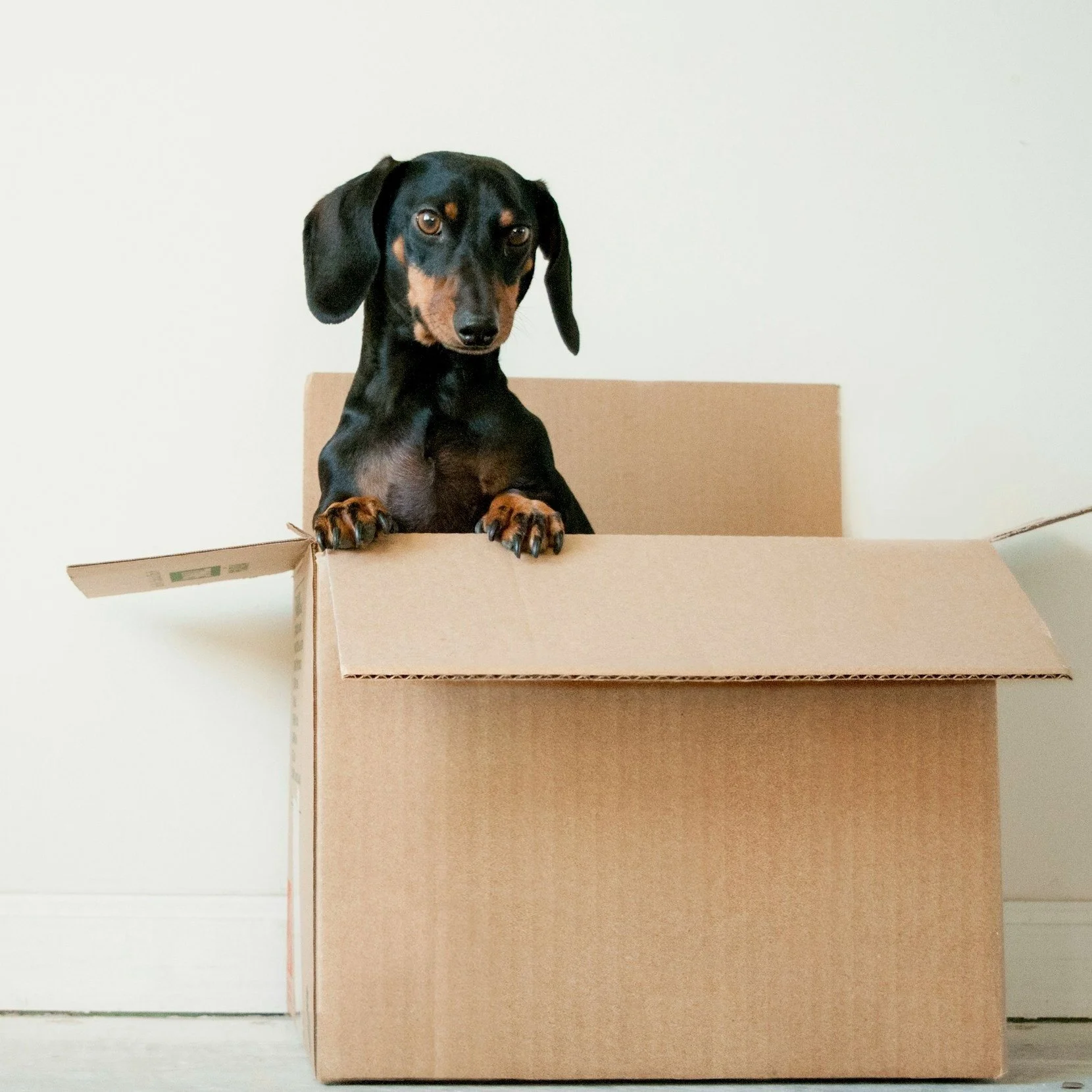 Stretching Out Of The Box