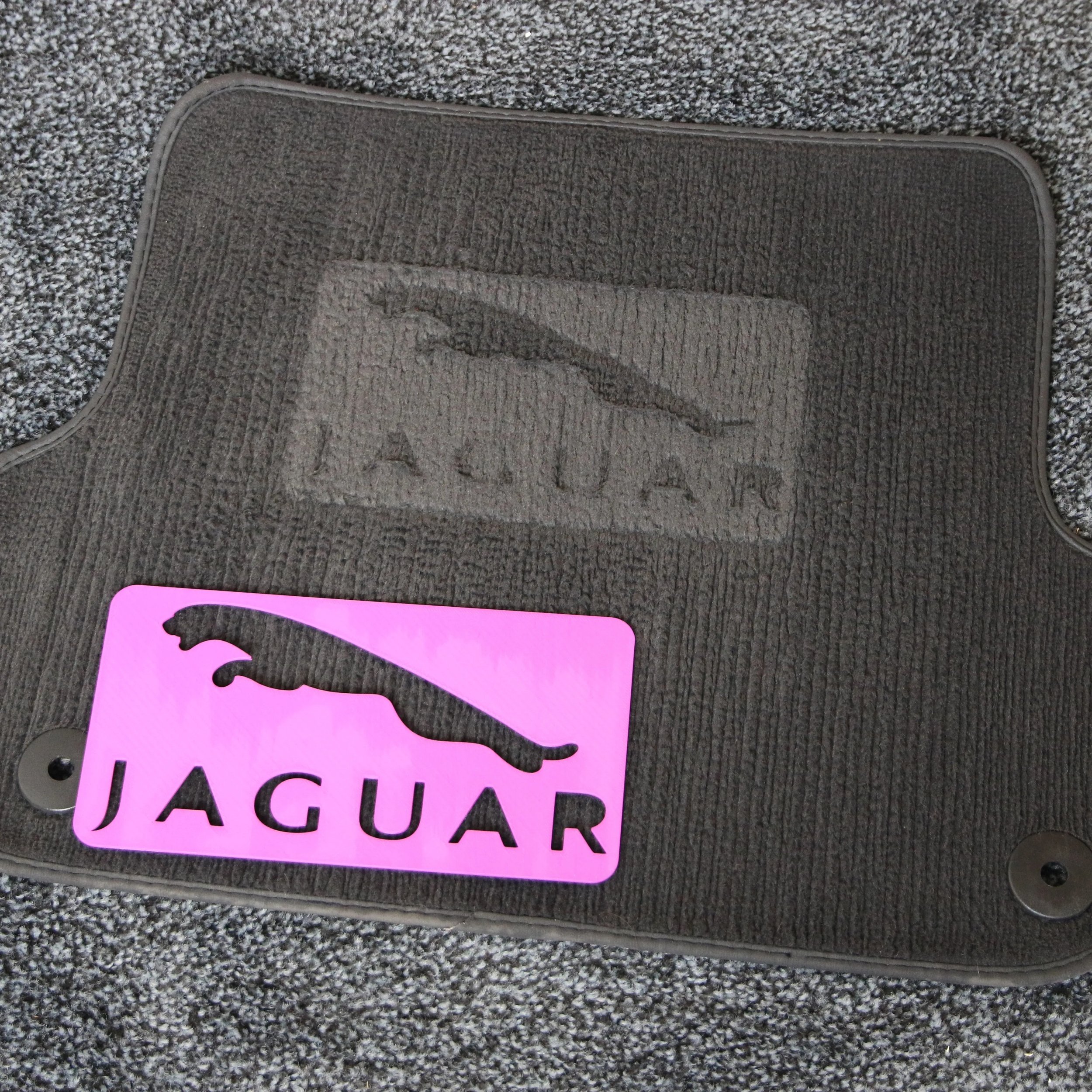 JAGUAR 1.jpeg