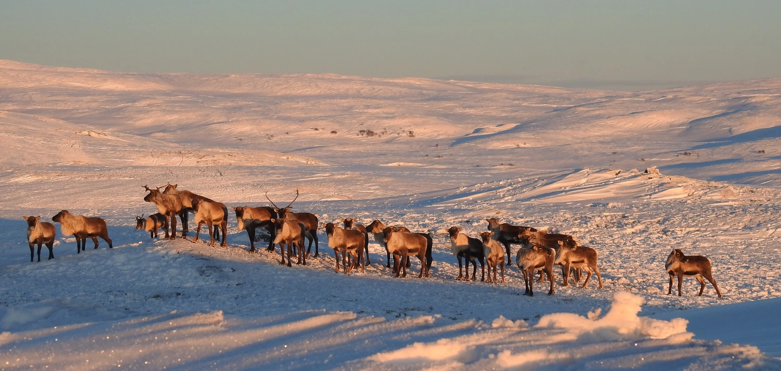 Foto: Ingebrigt Storli