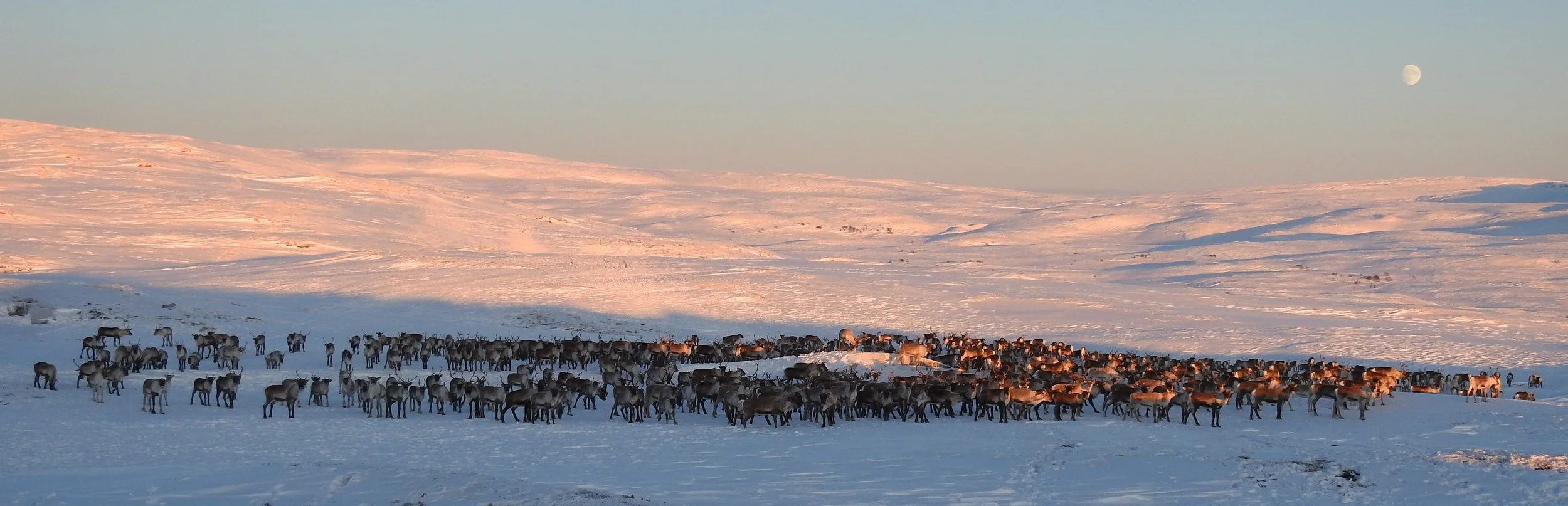  Foto: Ingebrigt Storli 