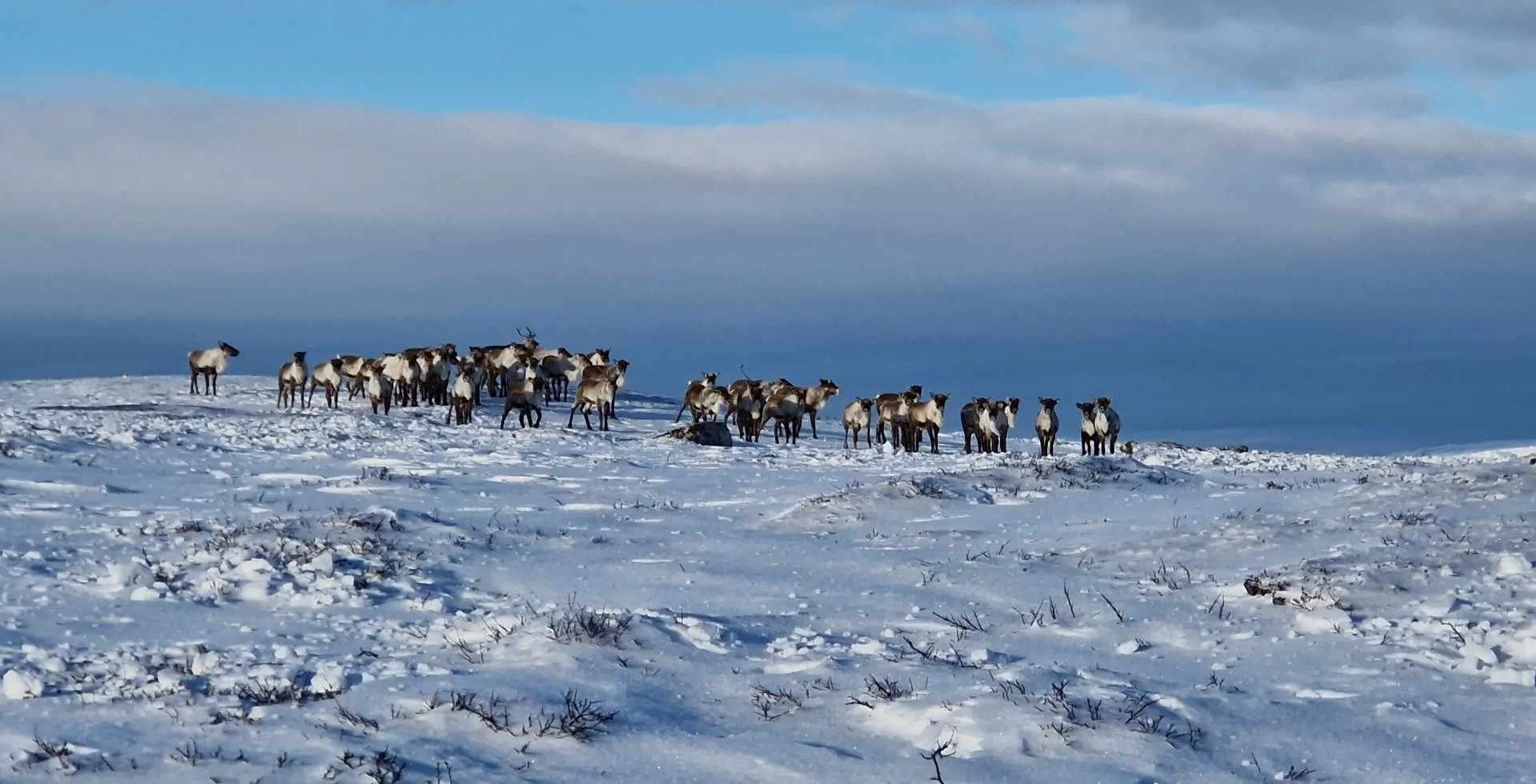 Rettighetshavermøte avholdt i Soknedal